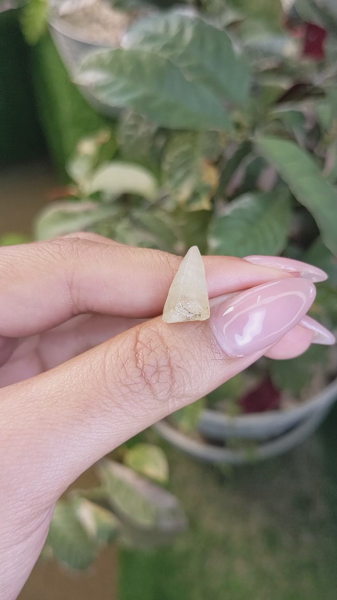 6.84 Ct. Yellow Sapphire Crystal from Ceylon (Sri Lanka) Size Video