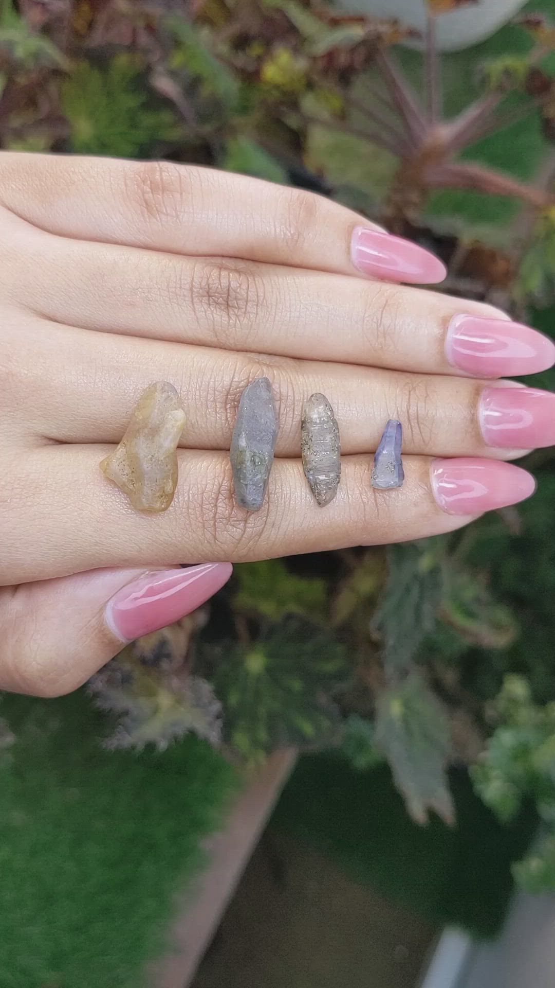 25.96 Ct. Multi Color Rough Sapphire Crystal from Ceylon (Sri Lanka) Size Video