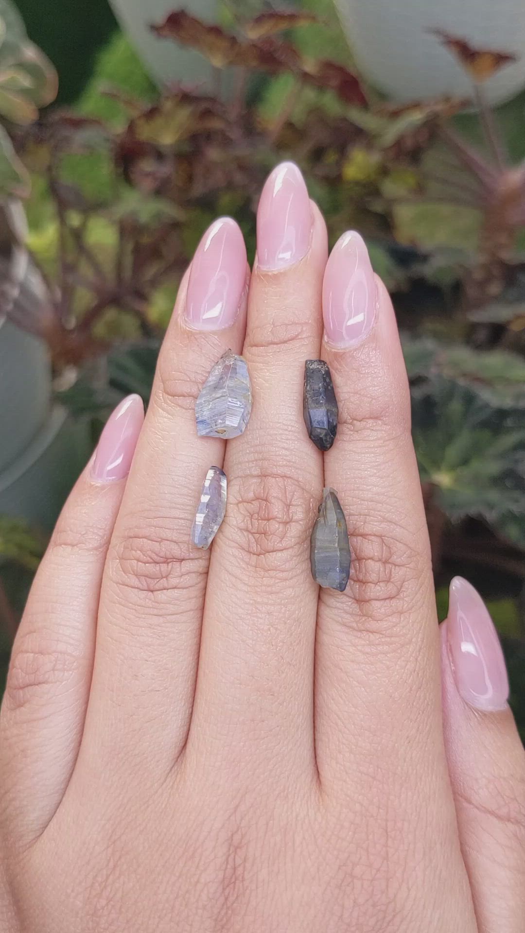 15.24 Ct. Multi Color Rough Sapphire Crystal from Ceylon (Sri Lanka) Size Video