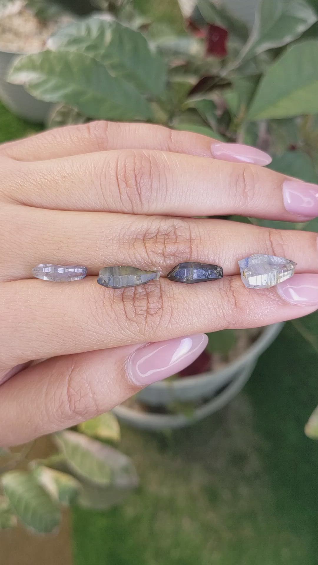 15.24 Ct. Multi Color Rough Sapphire Crystal from Ceylon (Sri Lanka) Size Video