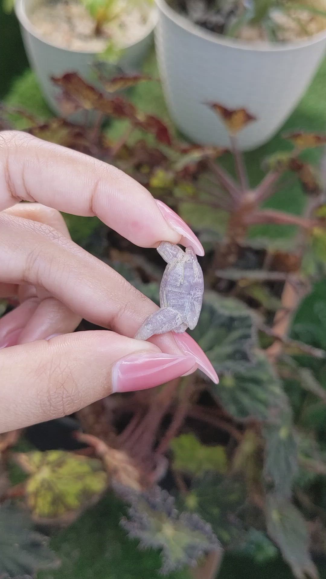 22.21 Ct. Purple Sapphire Crystal from Ceylon (Sri Lanka) Size Video