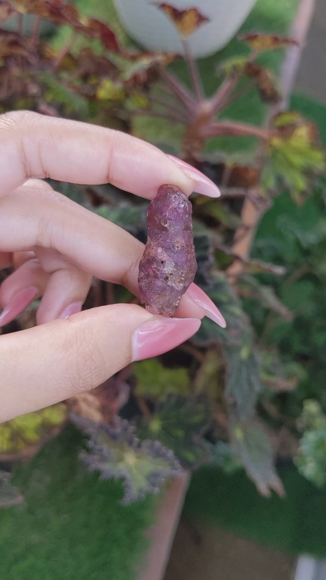 50.07 Ct. Purplish Pink Rough Sapphire Crystal from Ceylon (Sri Lanka) Size Video