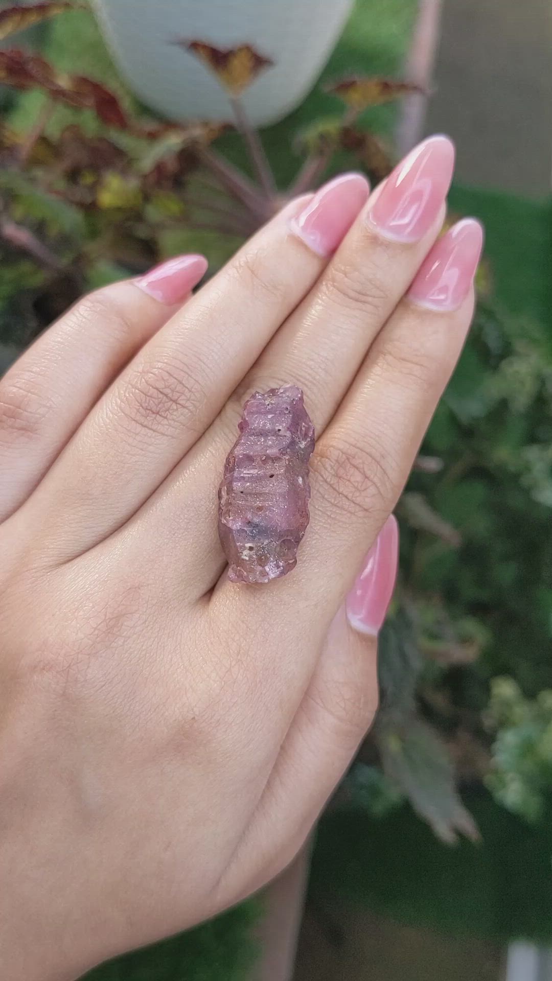 50.07 Ct. Purplish Pink Rough Sapphire Crystal from Ceylon (Sri Lanka) Size Video