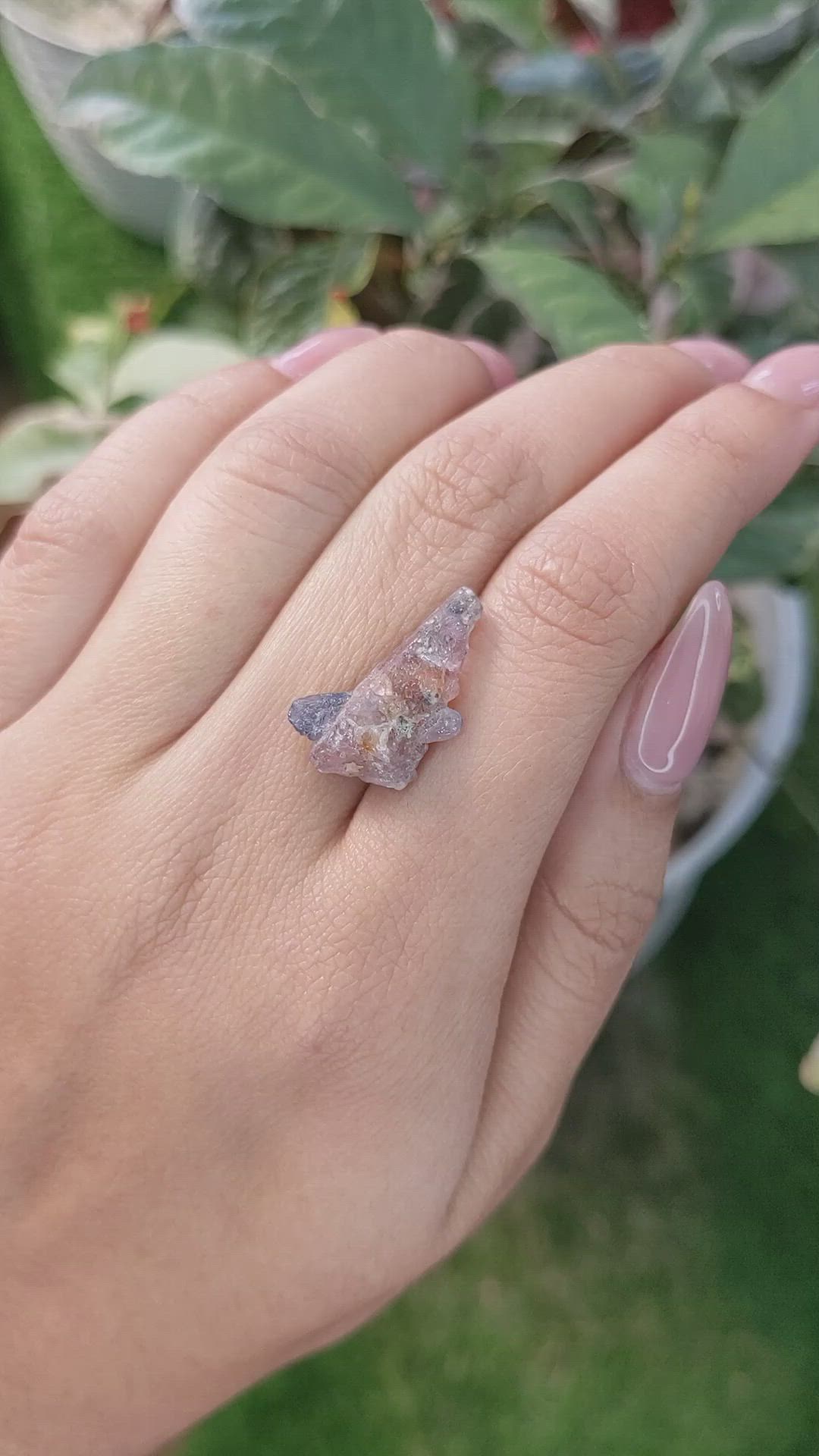 14.10 Ct. Bi Color Rough Sapphire Crystal from Ceylon (Sri Lanka) Size Video