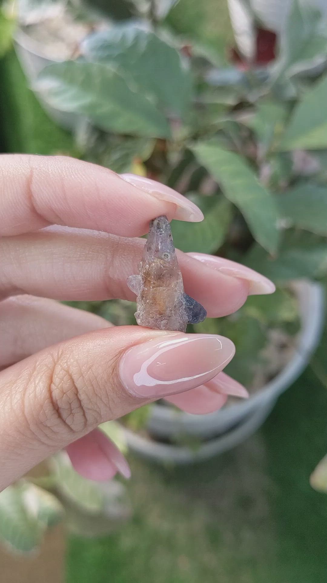 14.10 Ct. Bi Color Rough Sapphire Crystal from Ceylon (Sri Lanka) Size Video