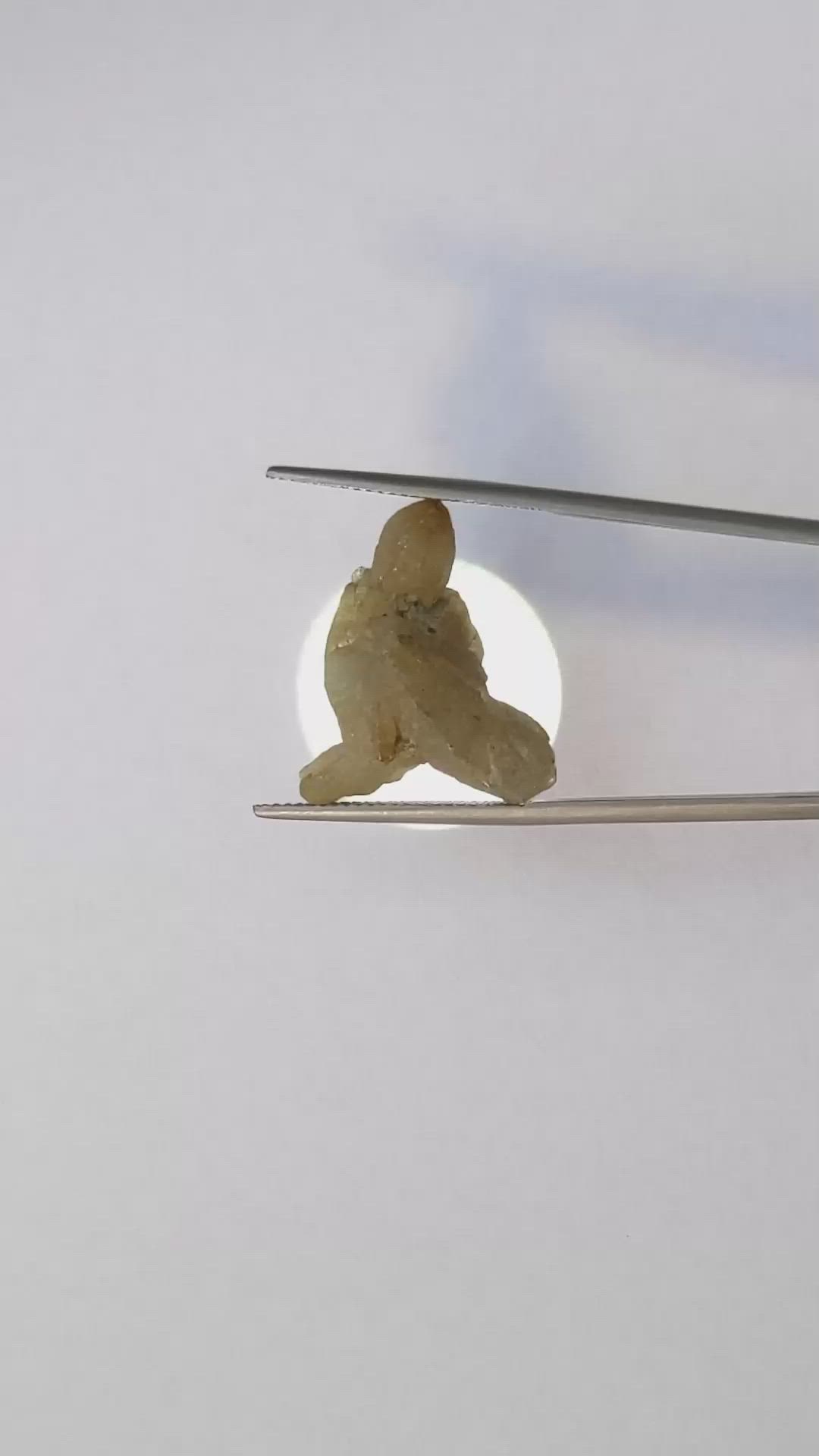 20.82 Ct. Yellowish Brown Rough Sapphire Crystal from Ceylon (Sri Lanka) Size Video