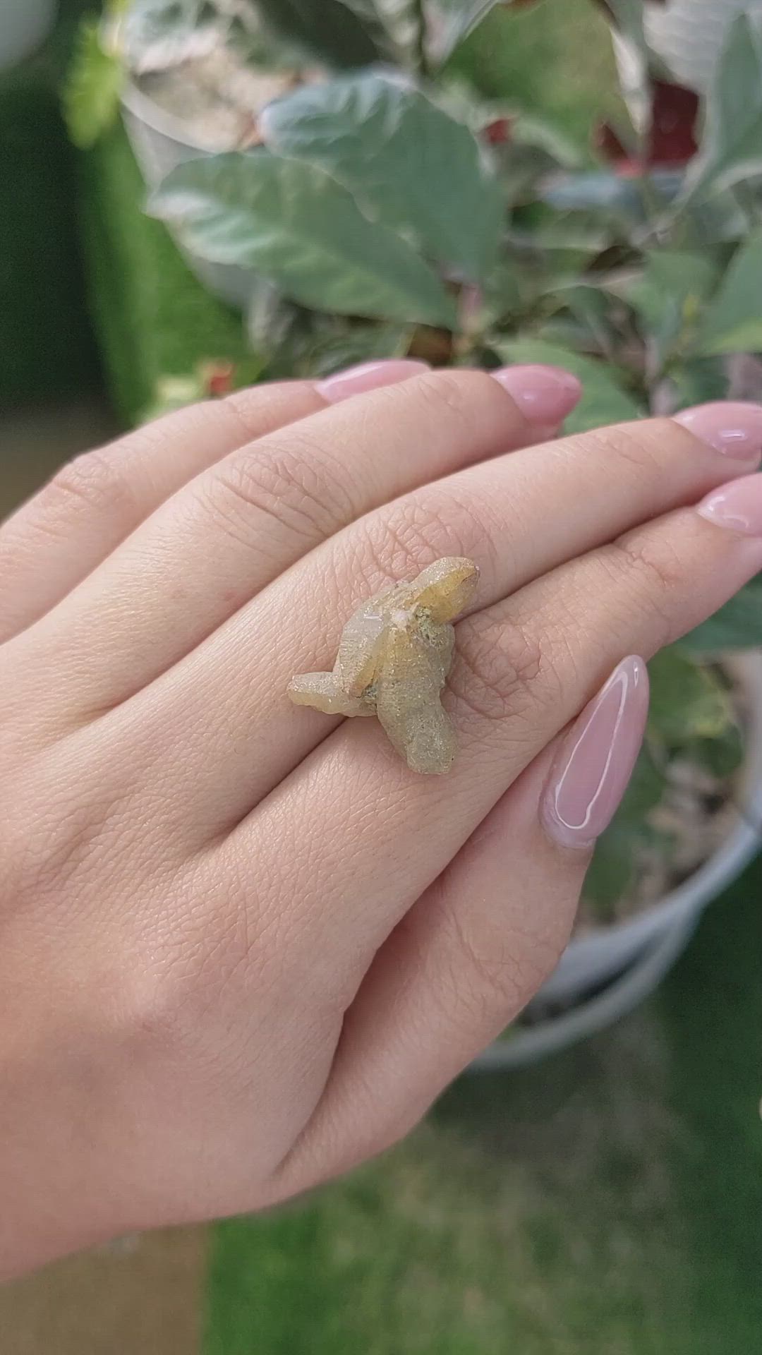 20.82 Ct. Yellowish Brown Rough Sapphire Crystal from Ceylon (Sri Lanka) Size Video