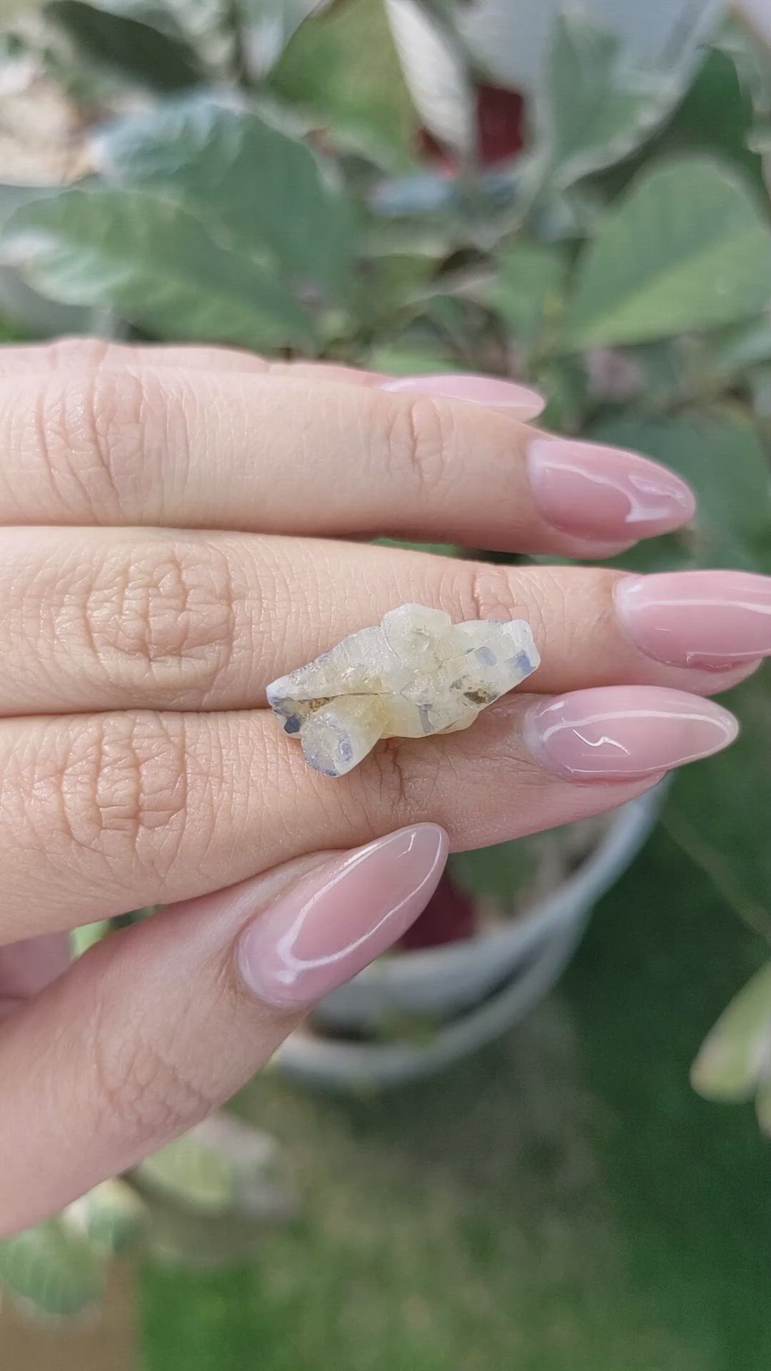 17.67 Ct. Bi Color Rough Sapphire Crystal from Ceylon (Sri Lanka) Size Video