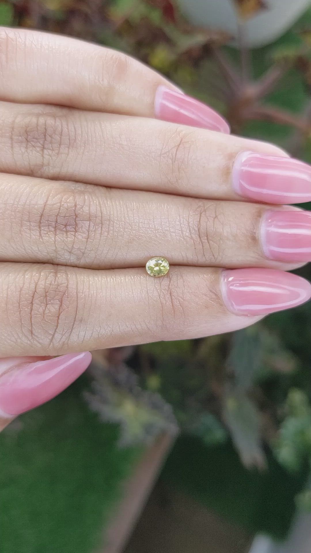 0.29 Ct. Yellow Sapphire from Ceylon (Sri Lanka) Size Video