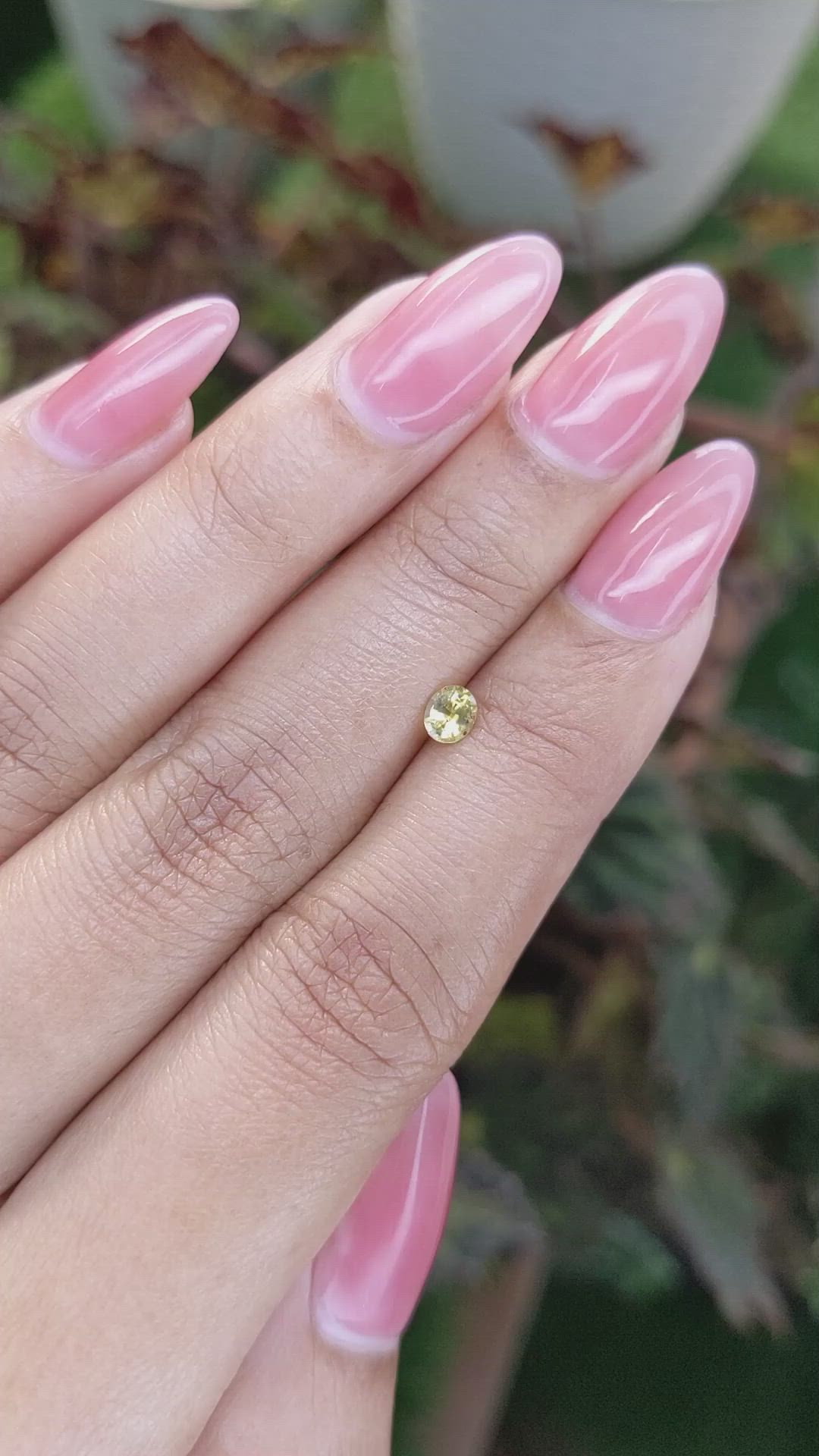 0.29 Ct. Yellow Sapphire from Ceylon (Sri Lanka) Size Video