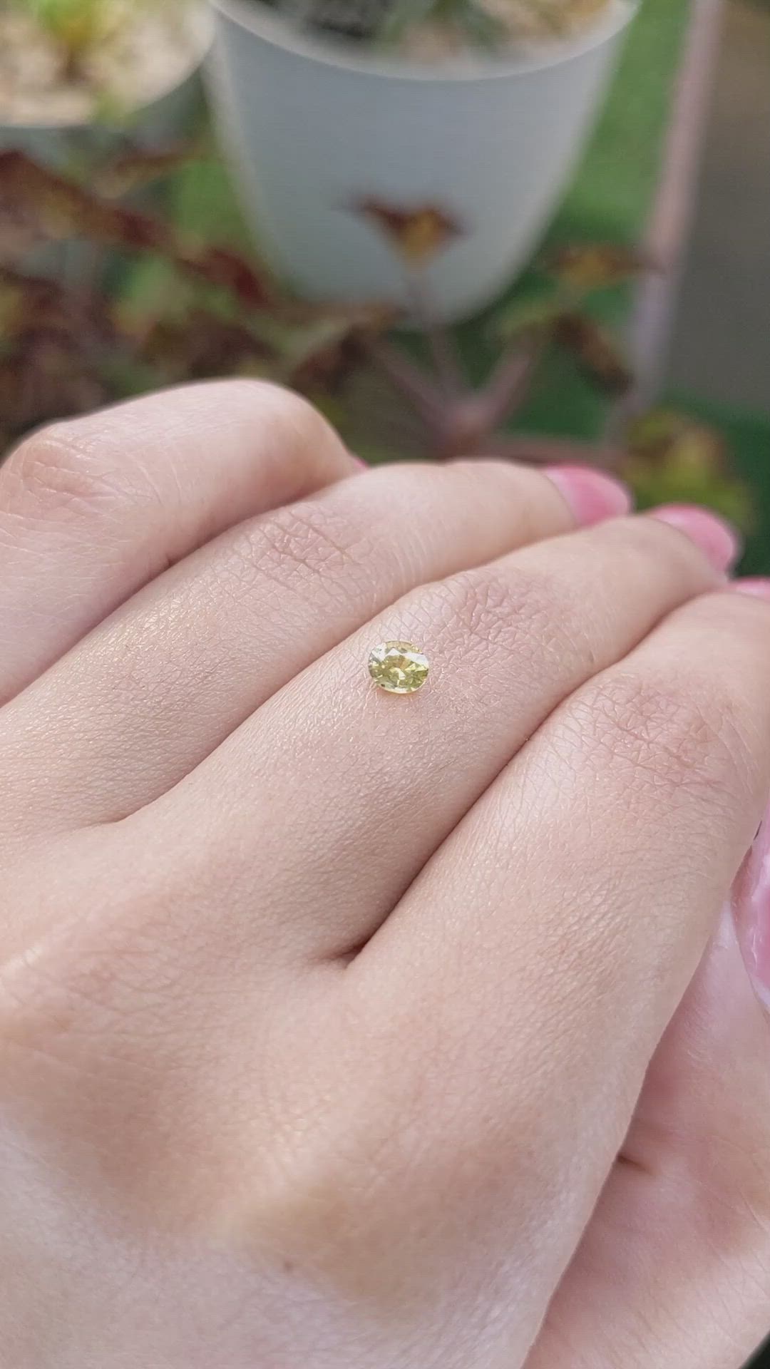 0.29 Ct. Yellow Sapphire from Ceylon (Sri Lanka) Size Video