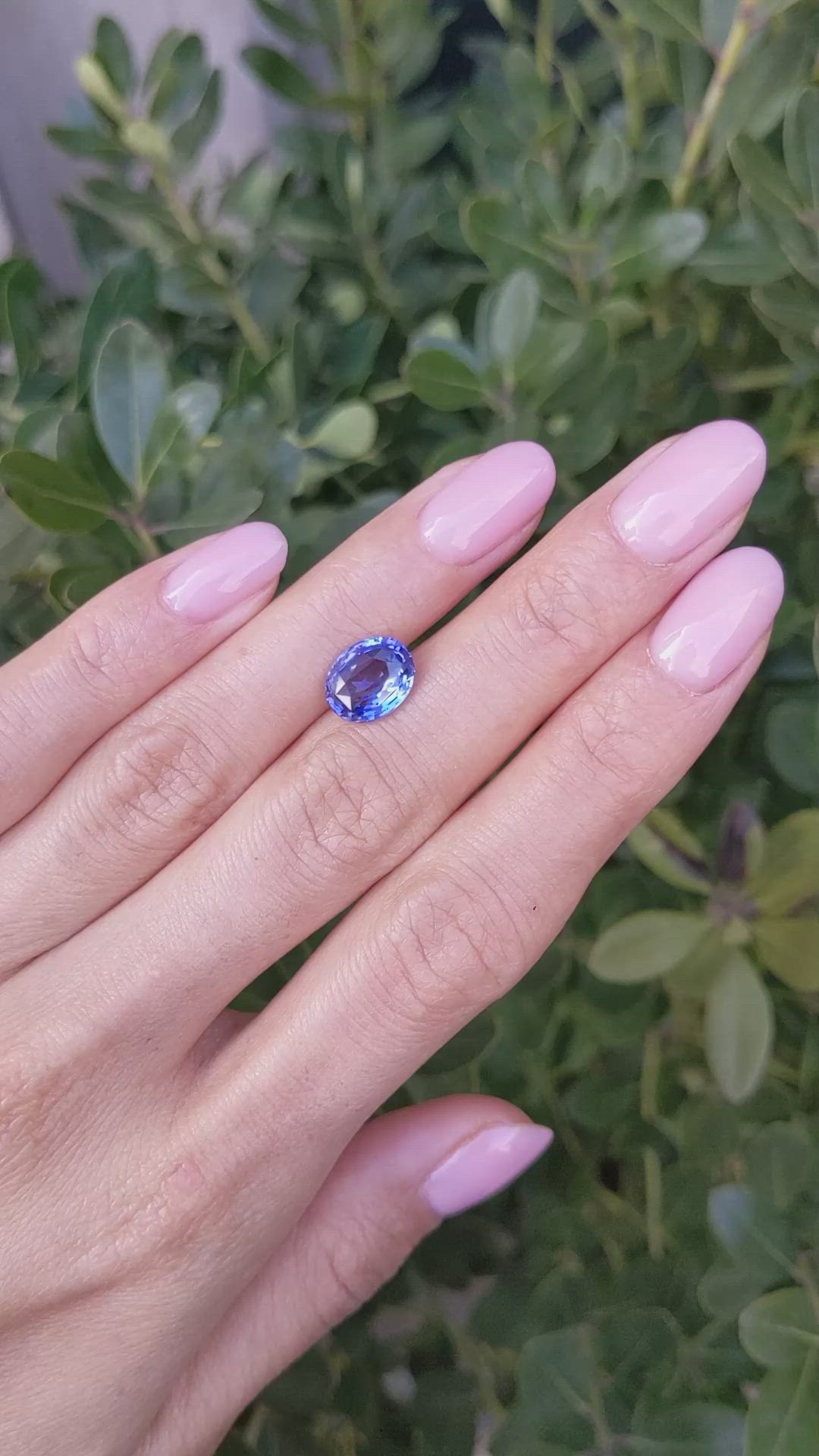 3.50 Ct. Blue Sapphire from Ceylon (Sri Lanka) Size Video