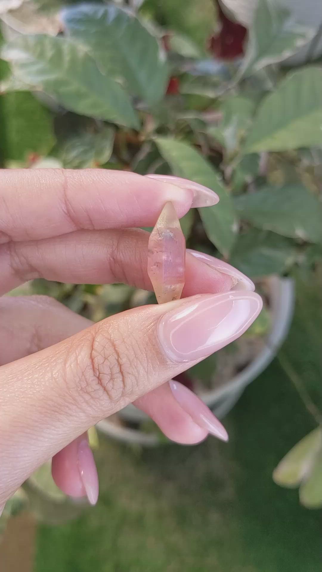 10.89 Ct. Bi Color Rough Sapphire Crystal from Ceylon (Sri Lanka) Size Video