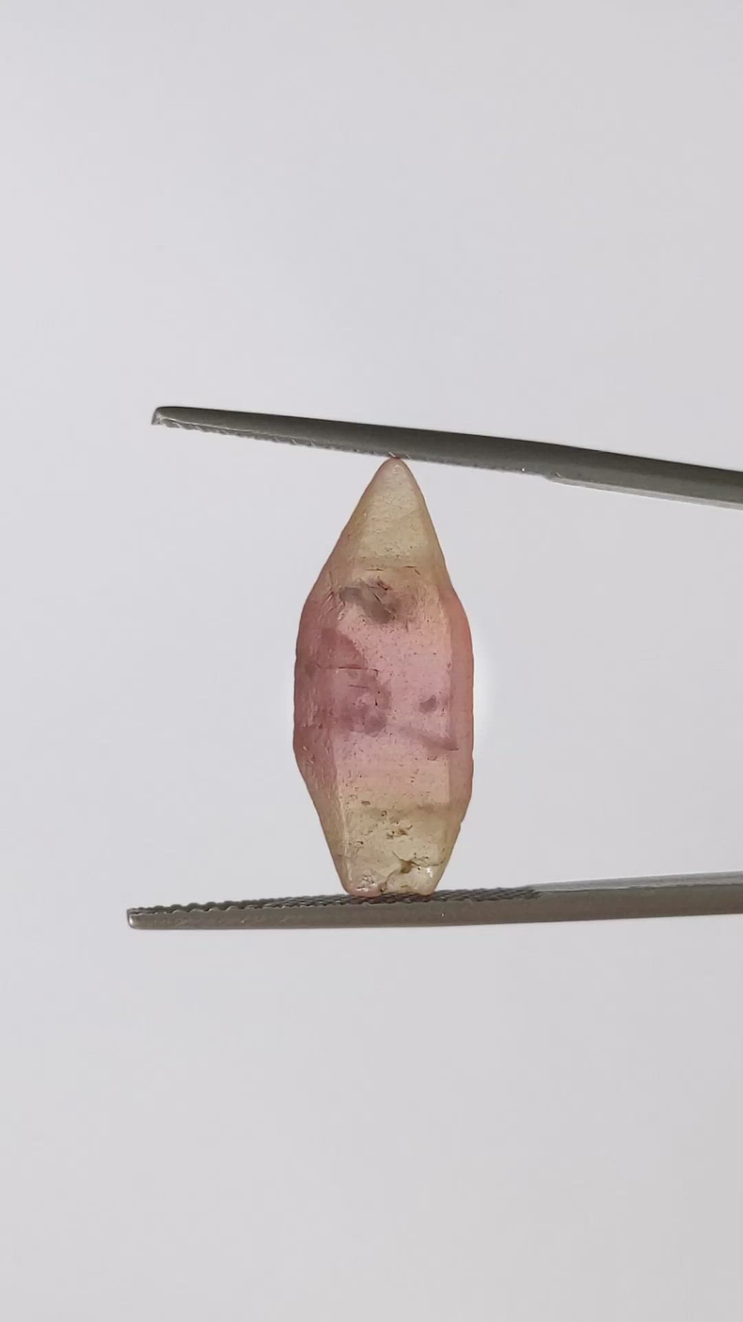 10.89 Ct. Bi Color Rough Sapphire Crystal from Ceylon (Sri Lanka) Size Video