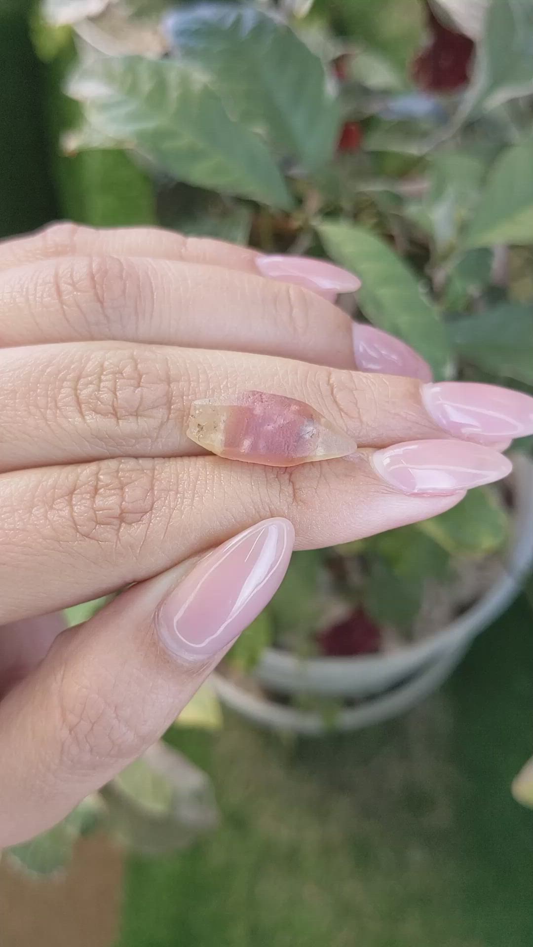 10.89 Ct. Bi Color Rough Sapphire Crystal from Ceylon (Sri Lanka) Size Video