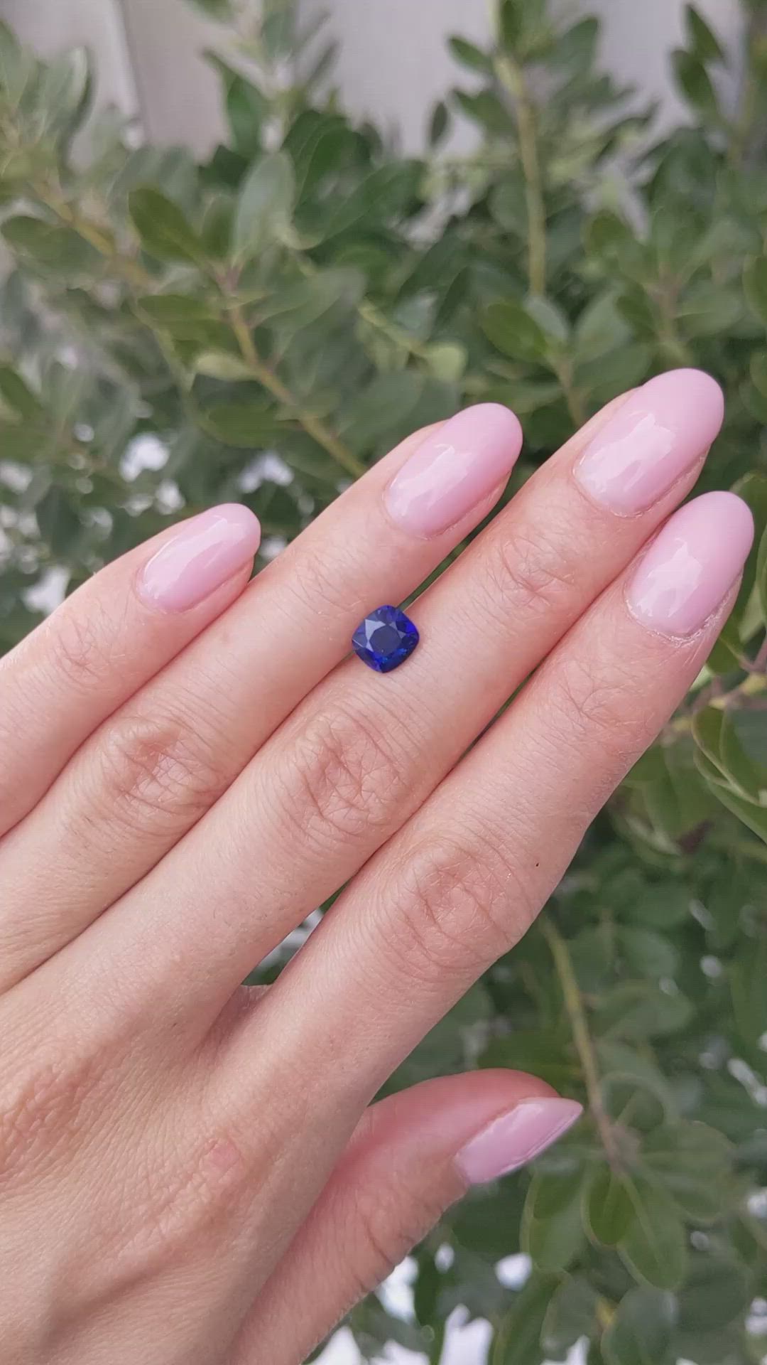 1.56 Ct. Blue Sapphire from Ceylon (Sri Lanka) Size Video