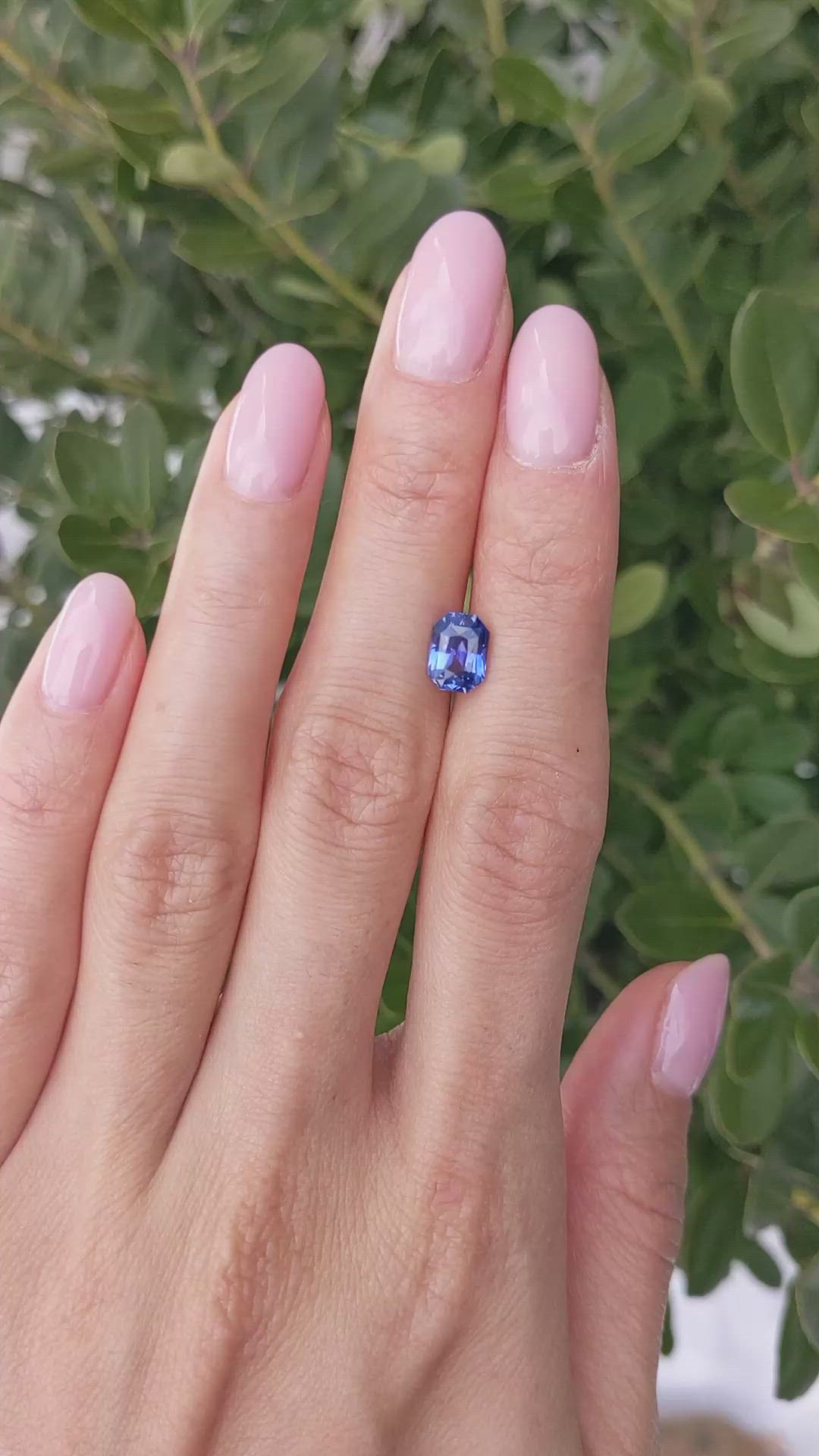 1.66 Ct. Blue Sapphire from Ceylon (Sri Lanka) Size Video