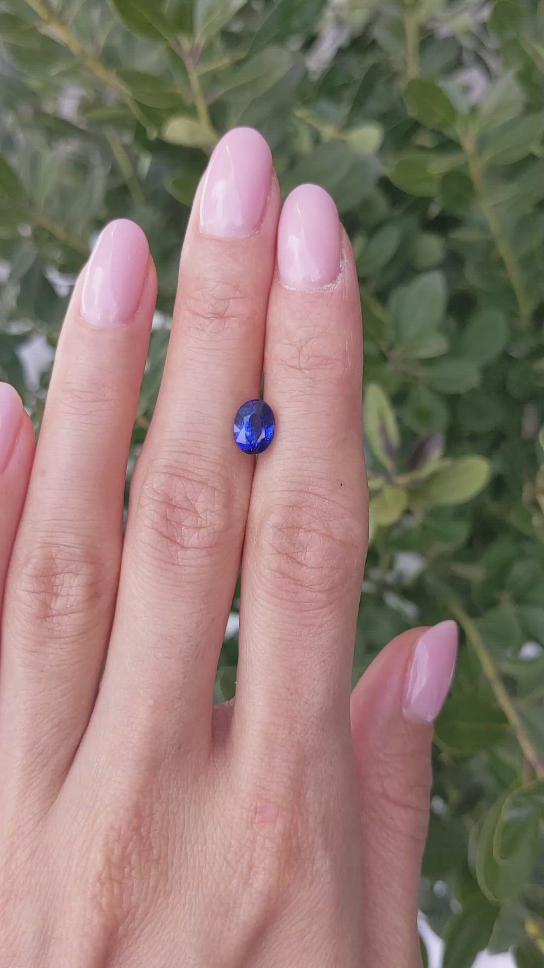 2.00 Ct. Blue Sapphire from Ceylon (Sri Lanka) Size Video
