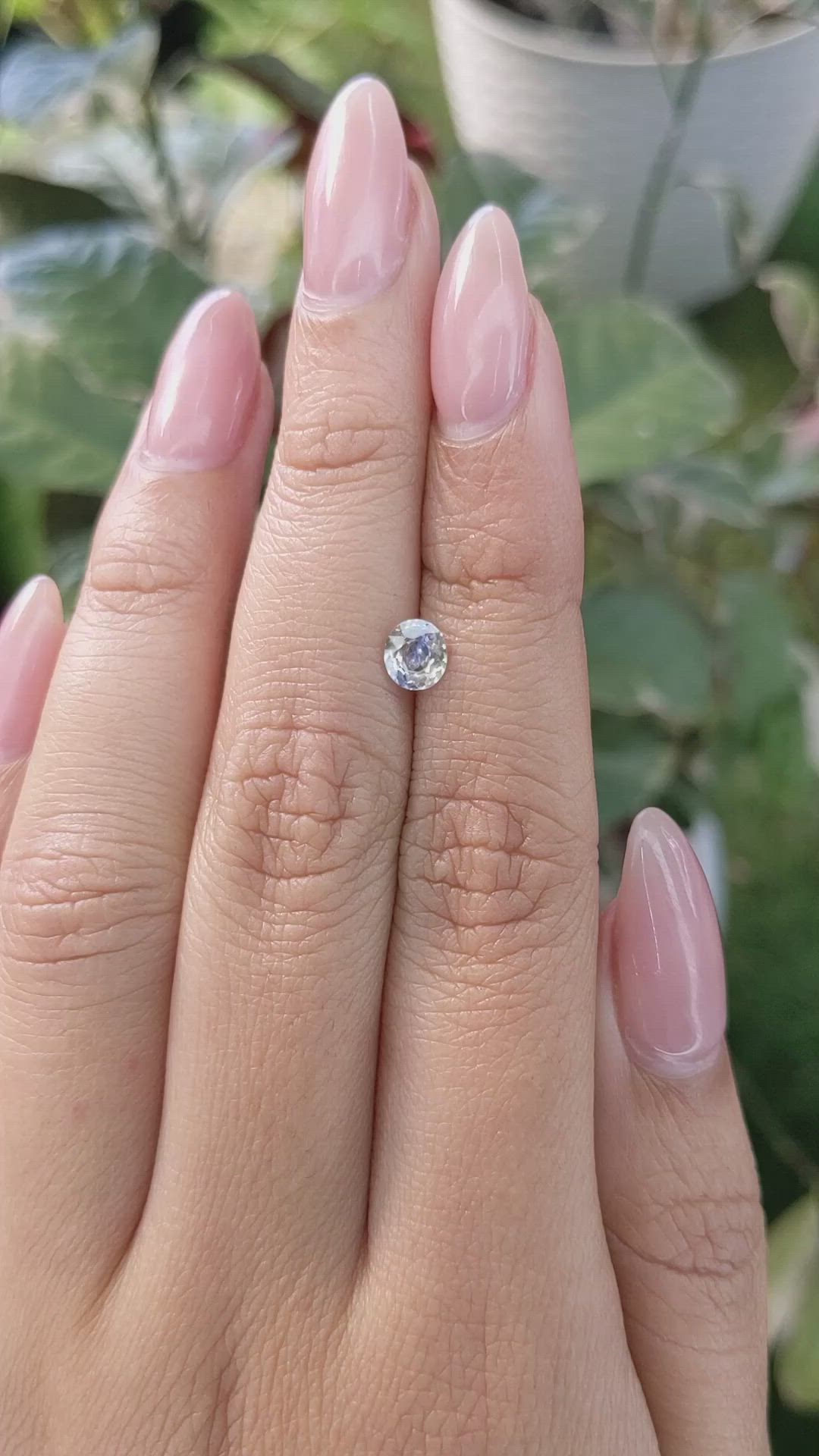 0.52 Ct. Bi Color / Parti Sapphire from Ceylon (Sri Lanka) Size Video