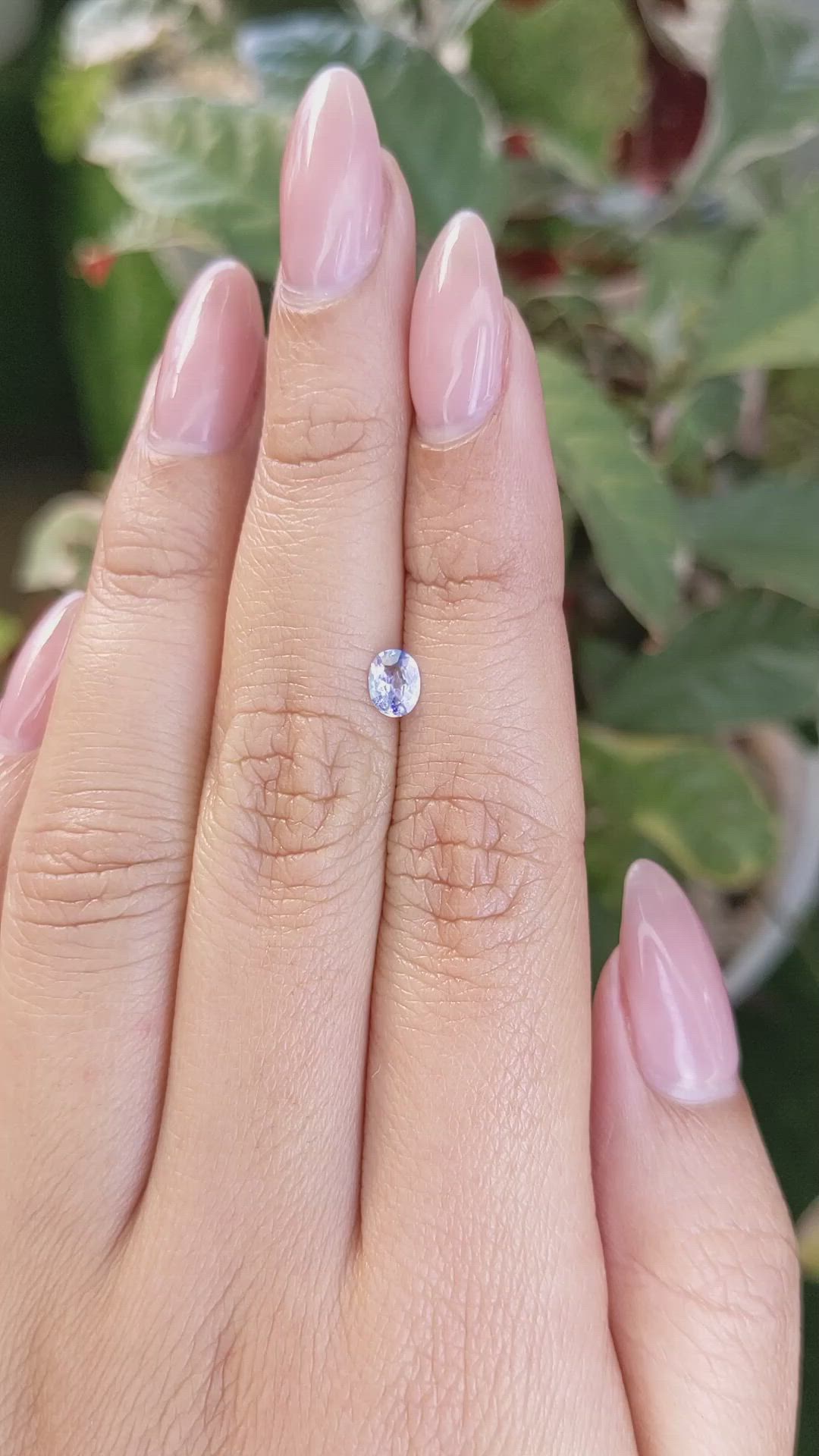 0.34 Ct. Bi Color / Parti Sapphire from Ceylon (Sri Lanka) Size Video