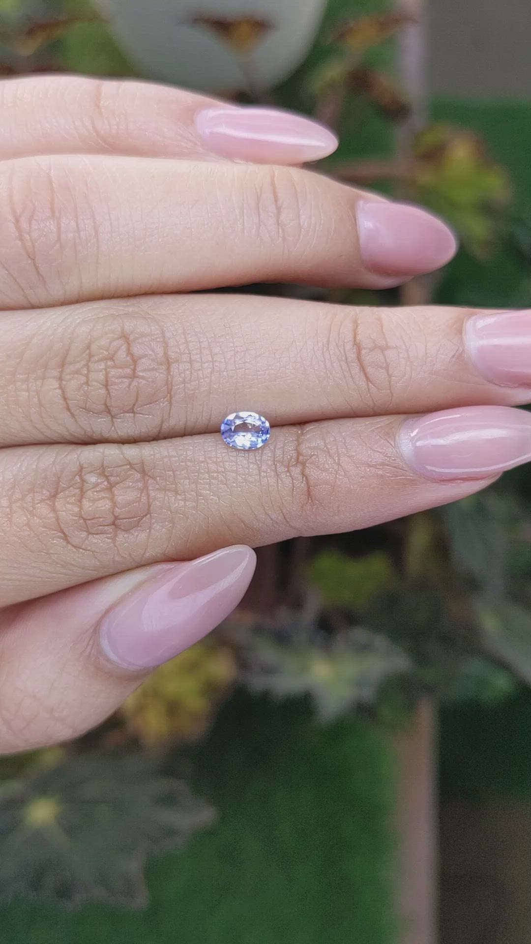 0.34 Ct. Bi Color / Parti Sapphire from Ceylon (Sri Lanka) Size Video