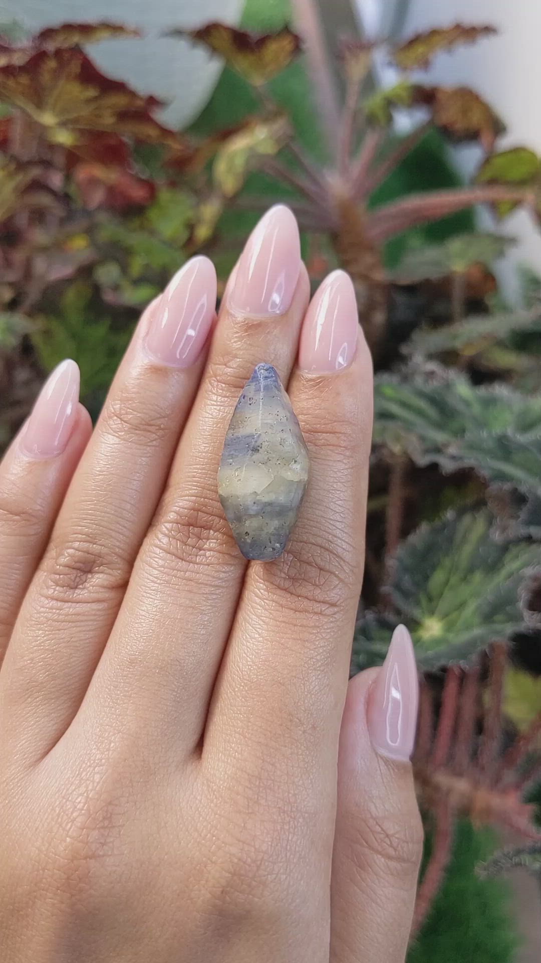 31.96 Ct. Bi Color Rough Sapphire Crystal from Ceylon (Sri Lanka) Size Video