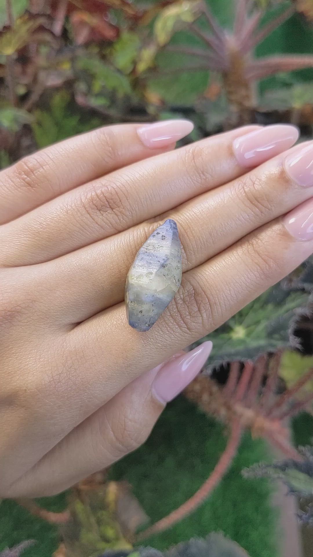 31.96 Ct. Bi Color Rough Sapphire Crystal from Ceylon (Sri Lanka) Size Video