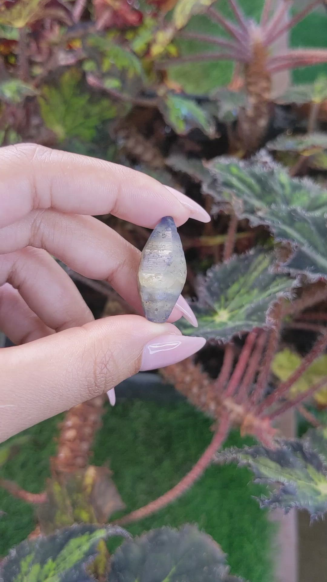 31.96 Ct. Bi Color Rough Sapphire Crystal from Ceylon (Sri Lanka) Size Video