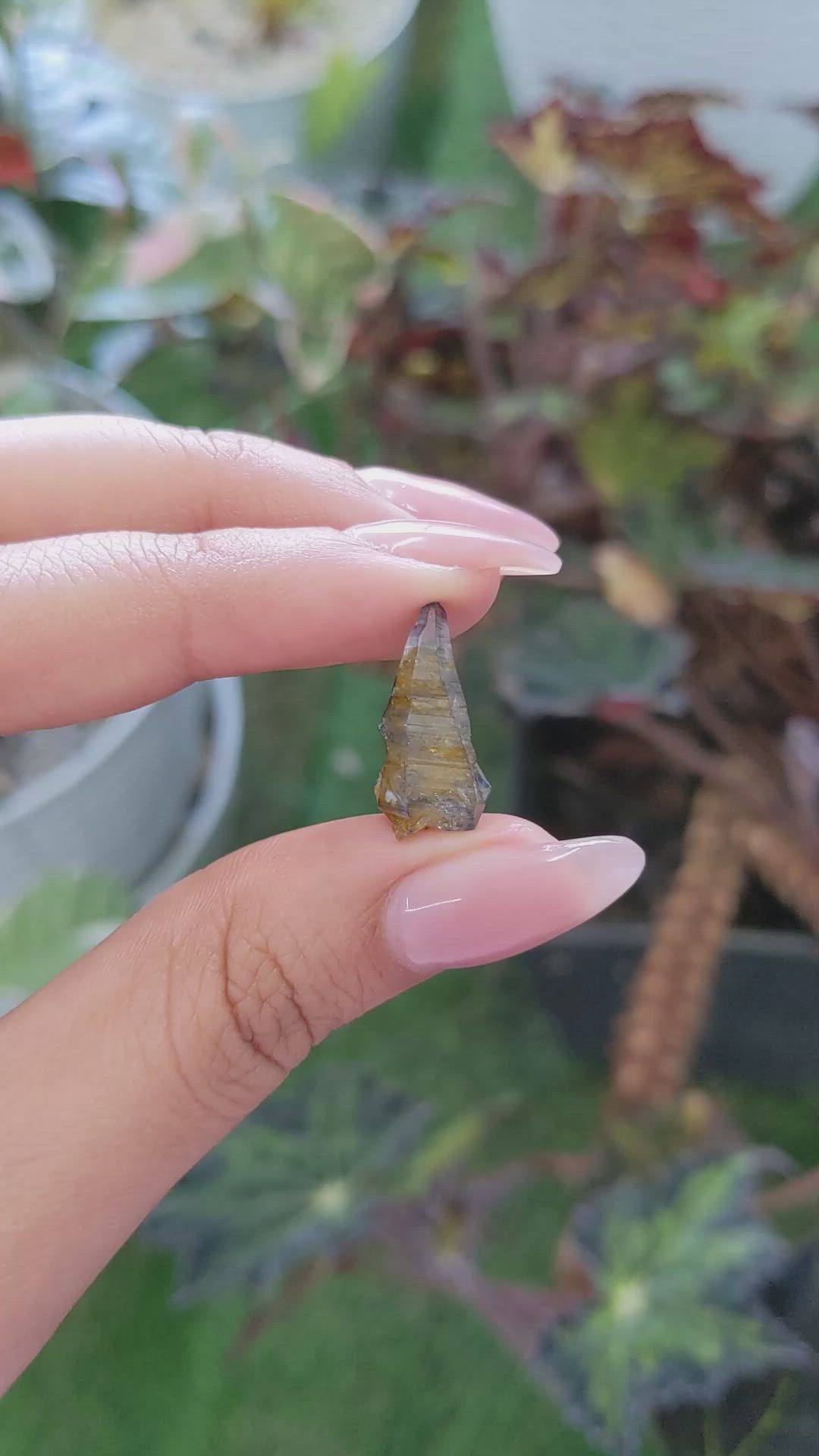 7.48 Ct. Bi Color Rough Sapphire Crystal from Ceylon (Sri Lanka) Size Video