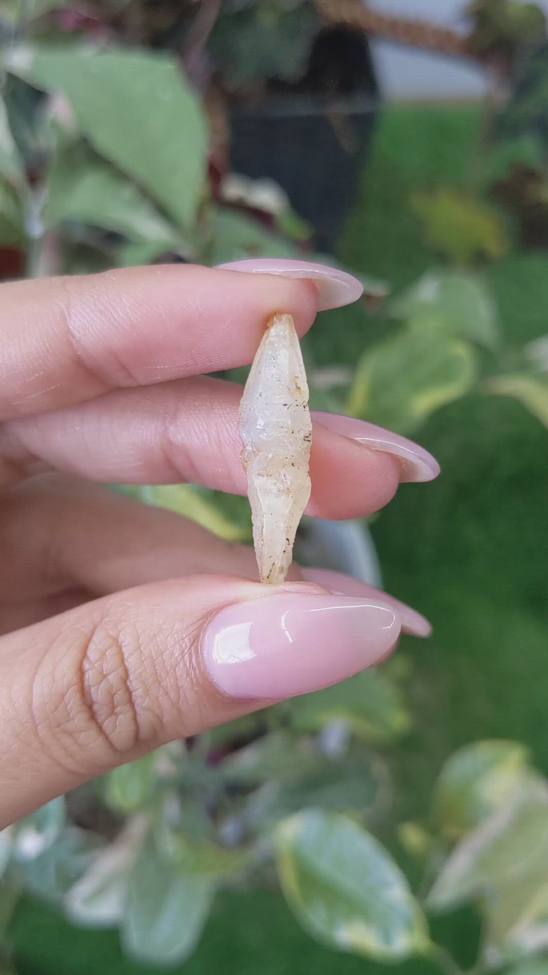 14.95 Ct. Yellow Rough Sapphire Crystal from Ceylon (Sri Lanka) Size Video