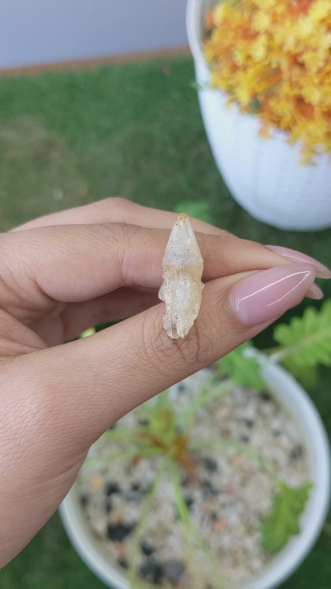 14.95 Ct. Yellow Rough Sapphire Crystal from Ceylon (Sri Lanka) Size Video