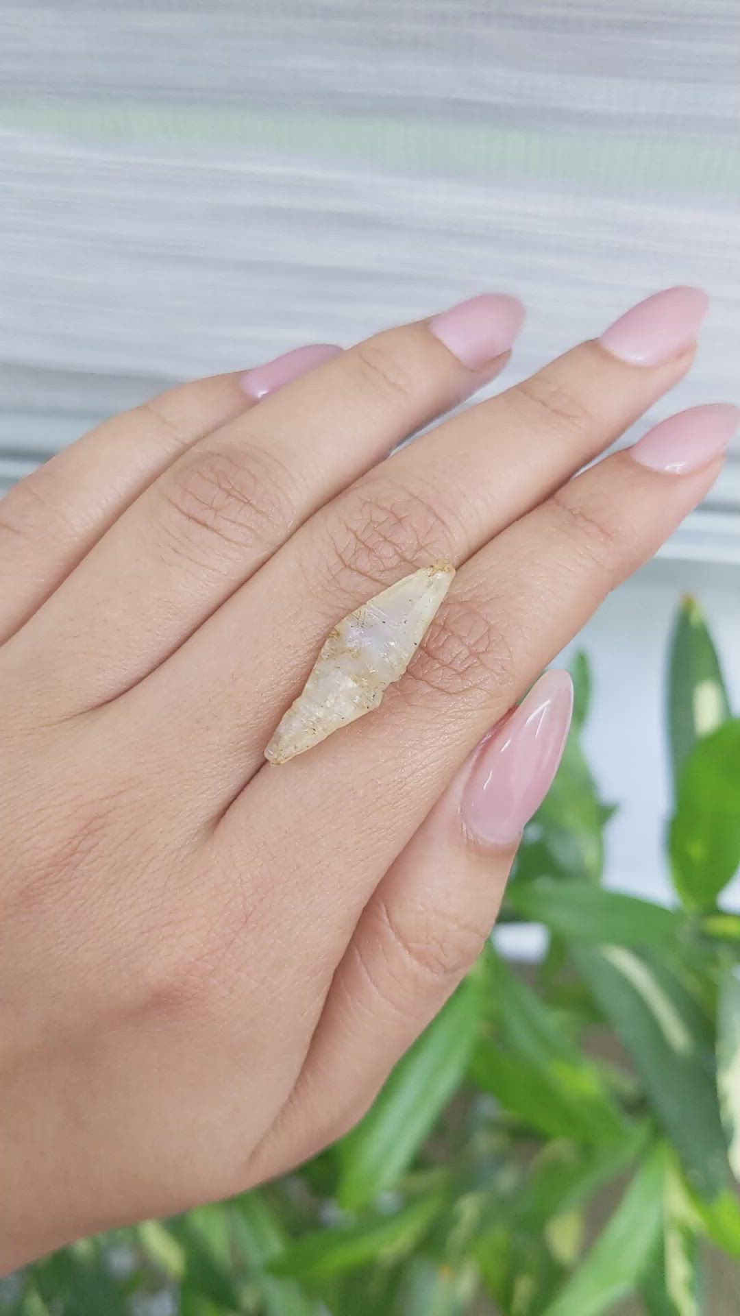 14.95 Ct. Yellow Rough Sapphire Crystal from Ceylon (Sri Lanka) Size Video