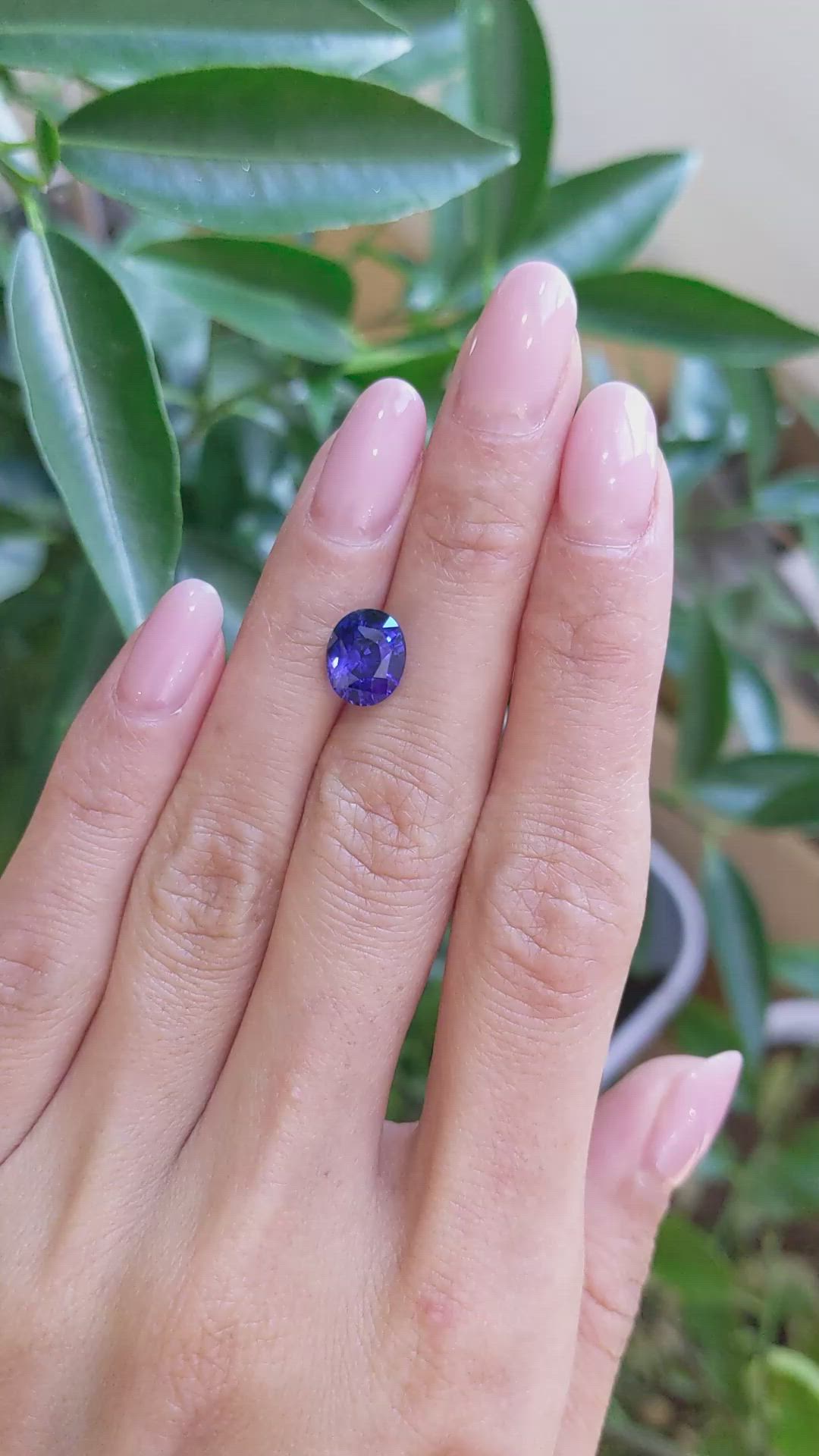 3.13 Ct. Blue Sapphire from Ceylon (Sri Lanka) Size Video
