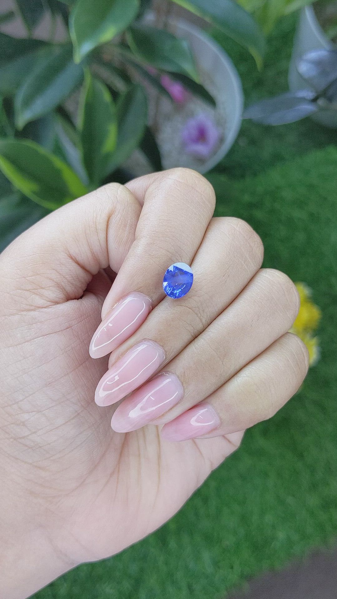 2.12 Ct. Blue Sapphire from Ceylon (Sri Lanka) Size Video