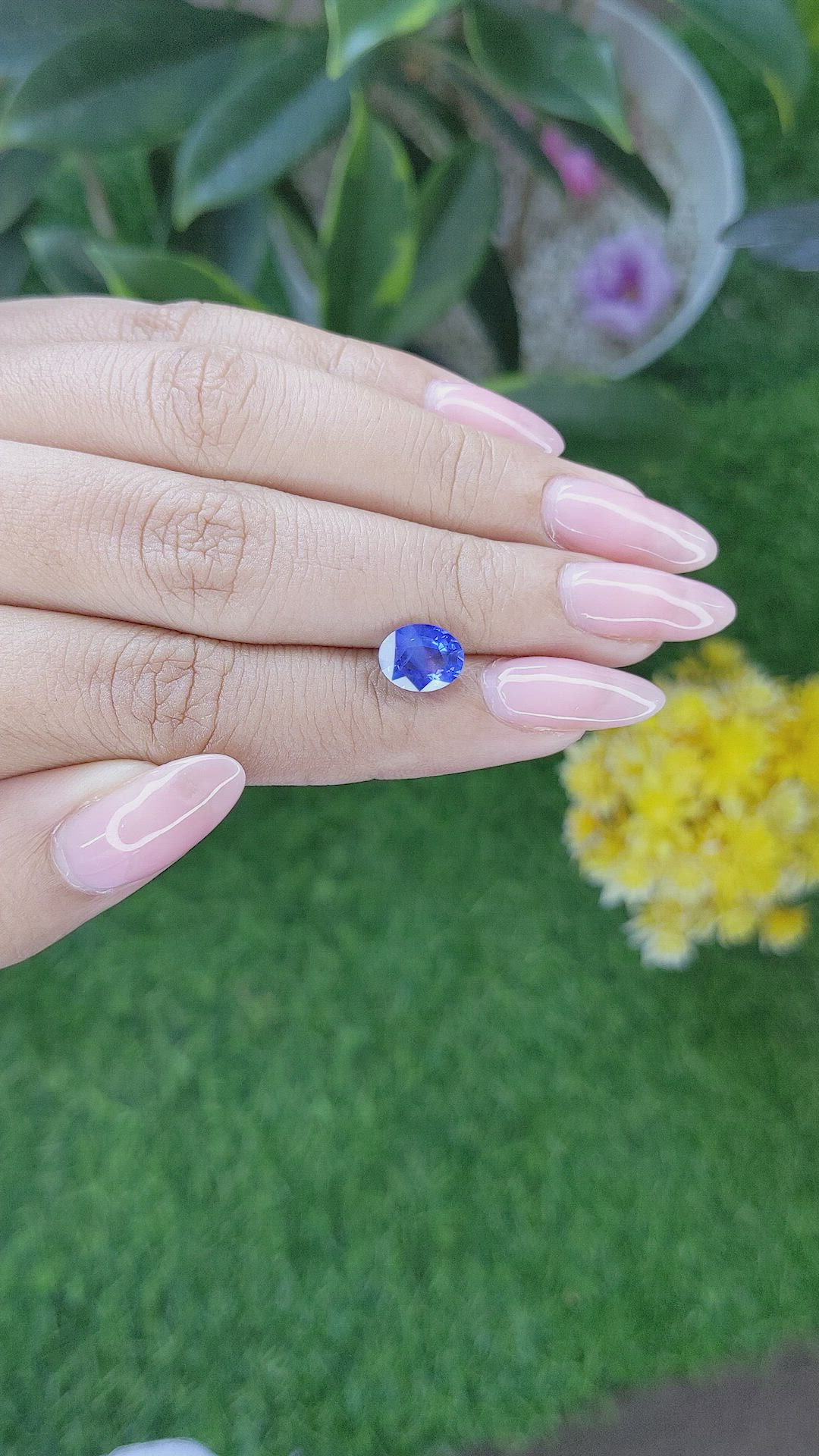 2.12 Ct. Blue Sapphire from Ceylon (Sri Lanka) Size Video