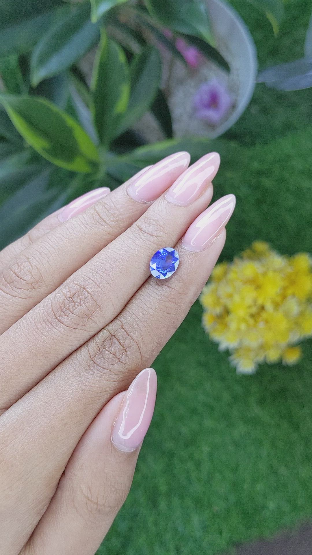 2.12 Ct. Blue Sapphire from Ceylon (Sri Lanka) Size Video