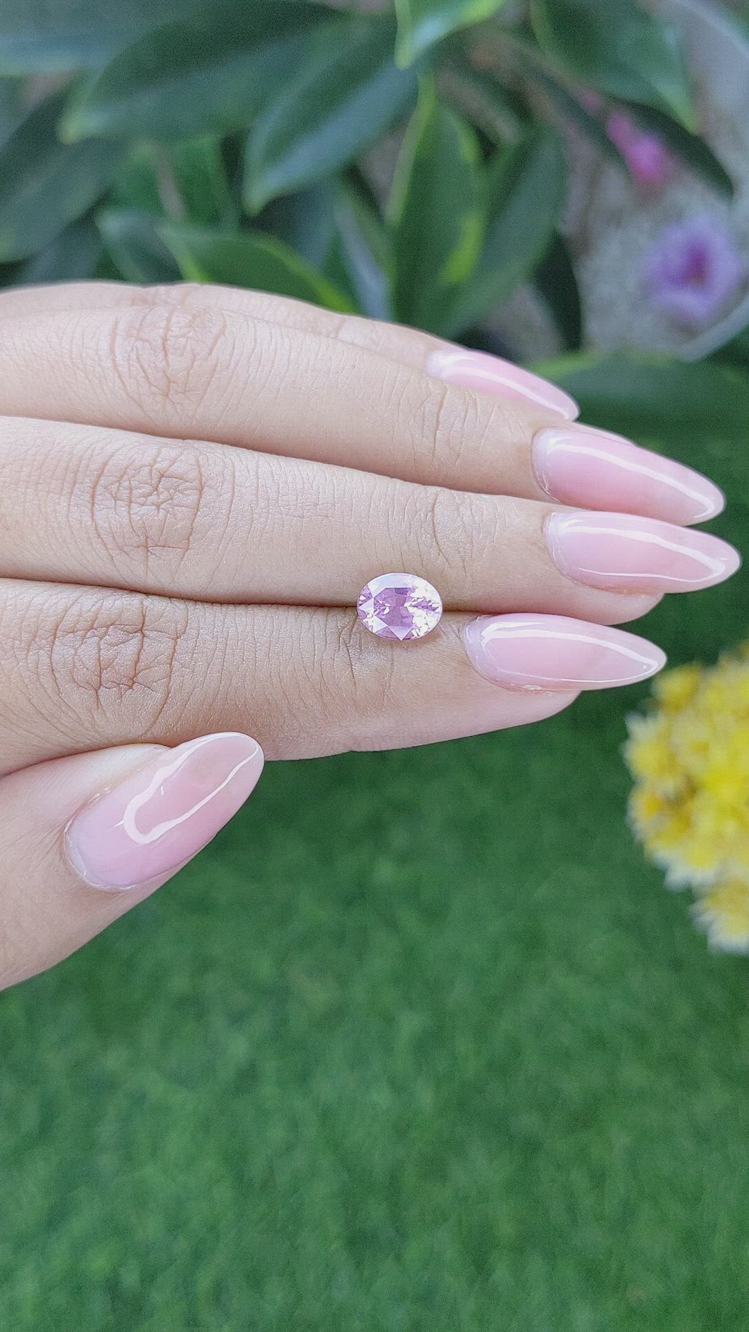 1.82 Ct. Pink Sapphire from Ceylon (Sri Lanka) Size Video