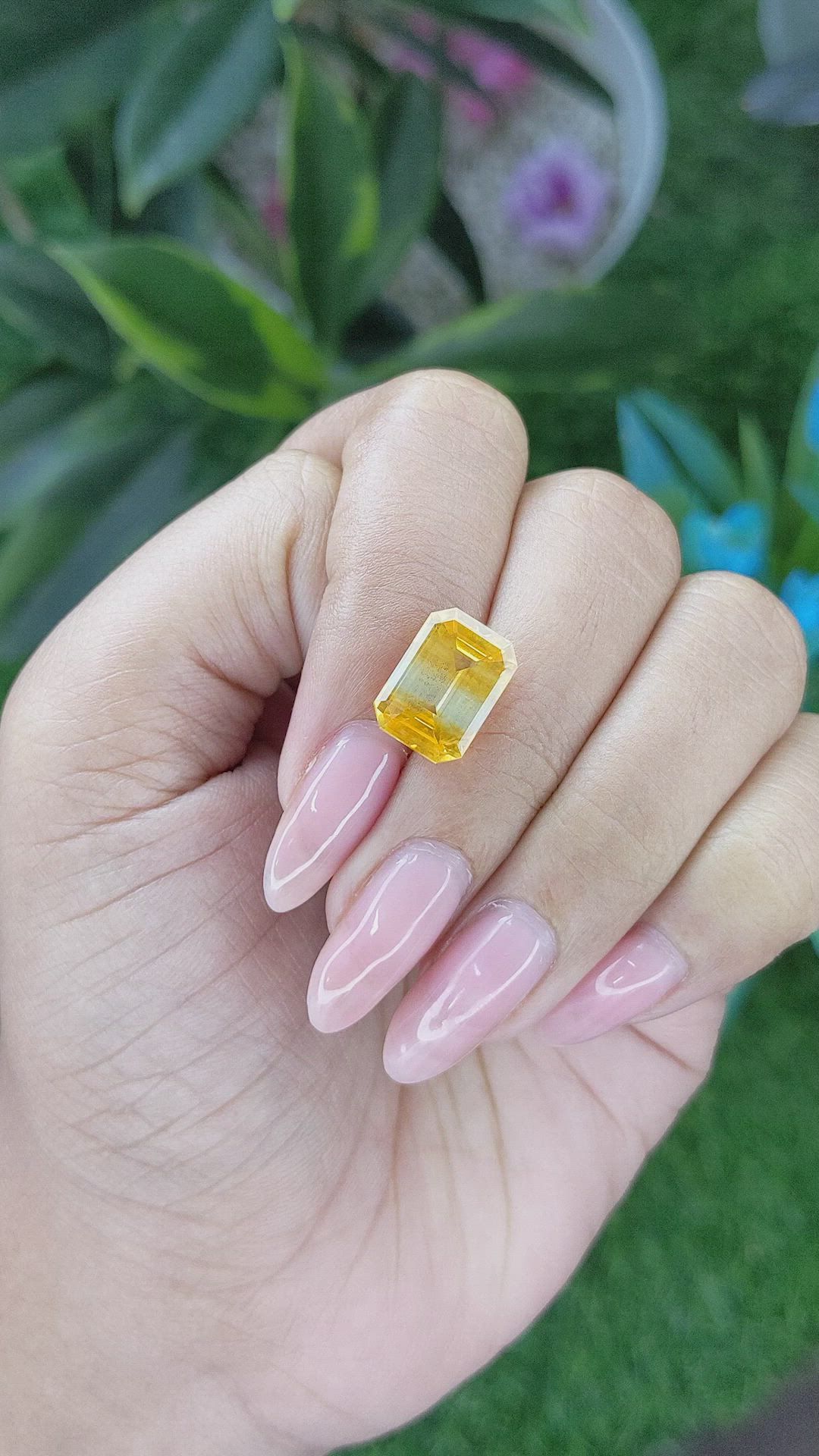 6.73 Ct. Bi Color Sapphire from Ceylon (Sri Lanka) Size Video