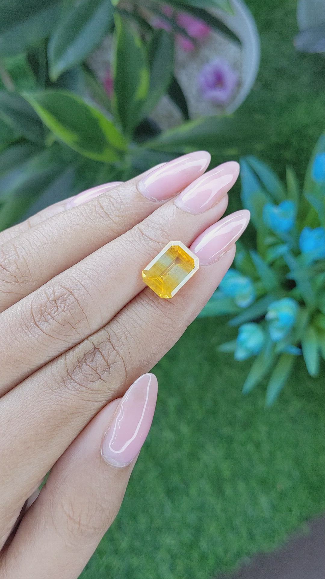 6.73 Ct. Bi Color Sapphire from Ceylon (Sri Lanka) Size Video