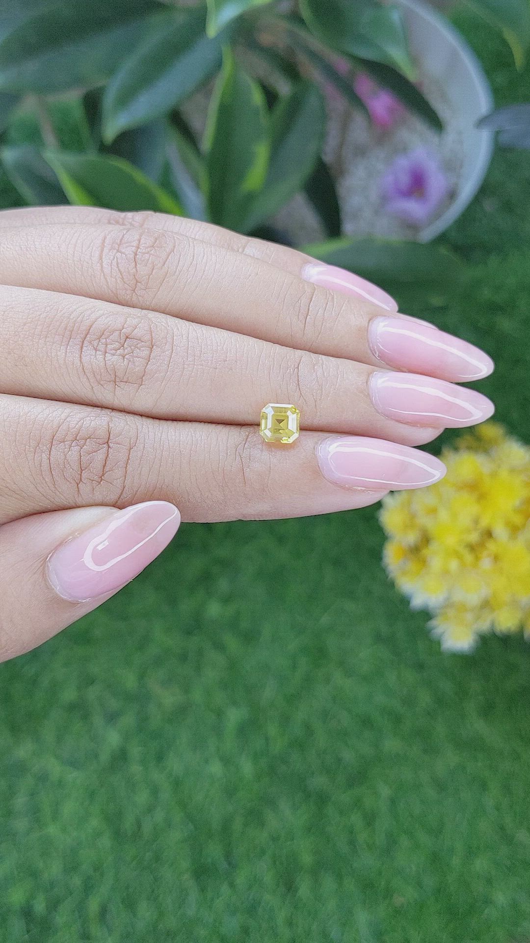 1.24 Ct. Yellow Sapphire from Ceylon (Sri Lanka) Size Video