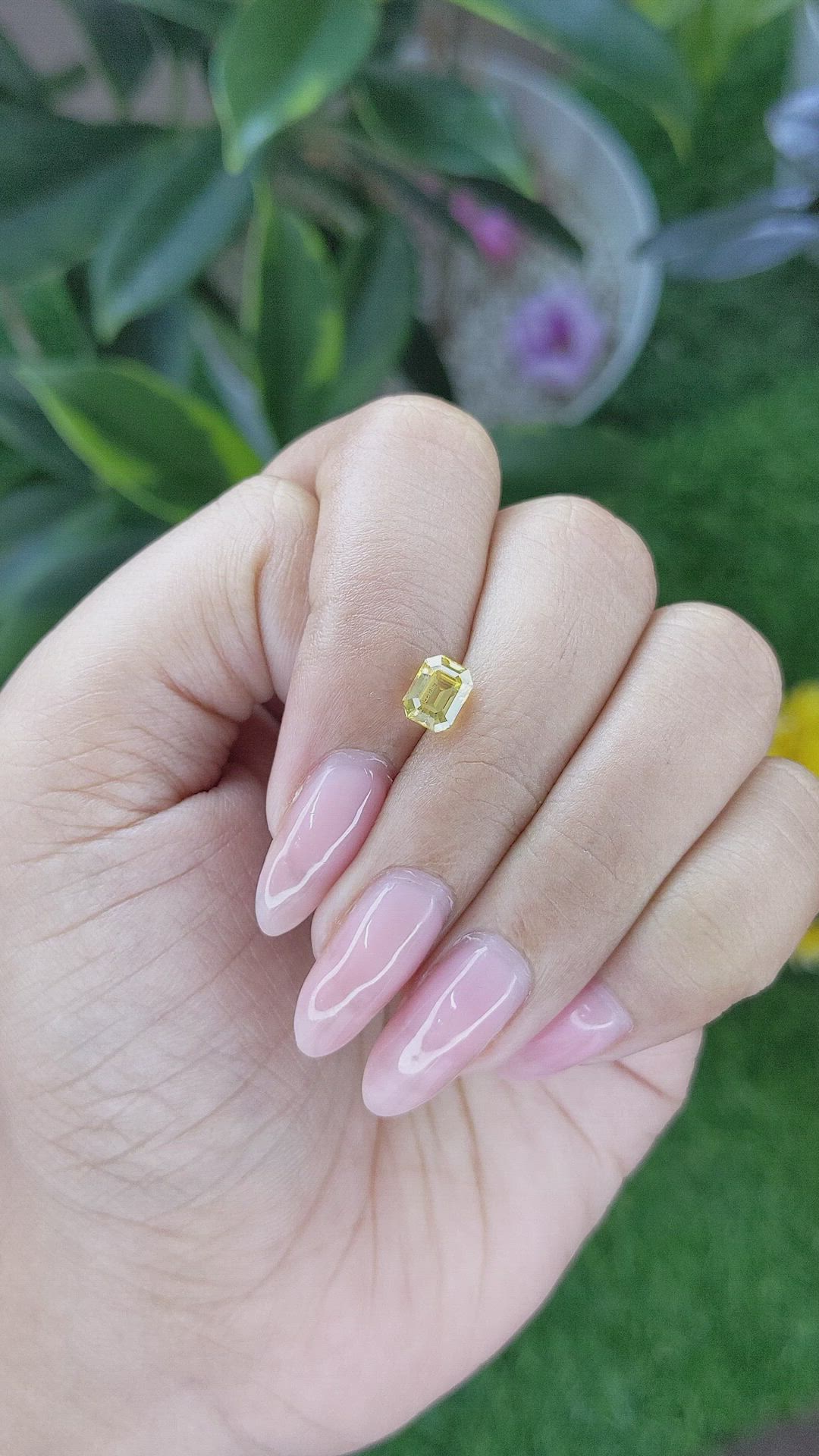 1.24 Ct. Yellow Sapphire from Ceylon (Sri Lanka) Size Video