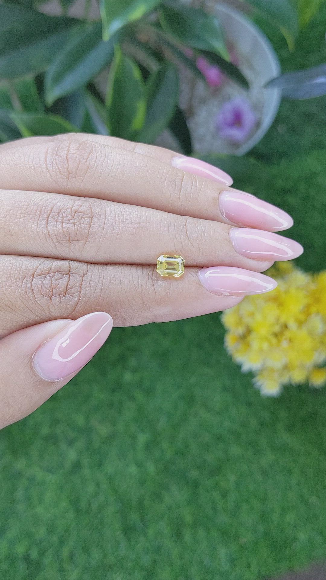 1.24 Ct. Yellow Sapphire from Ceylon (Sri Lanka) Size Video