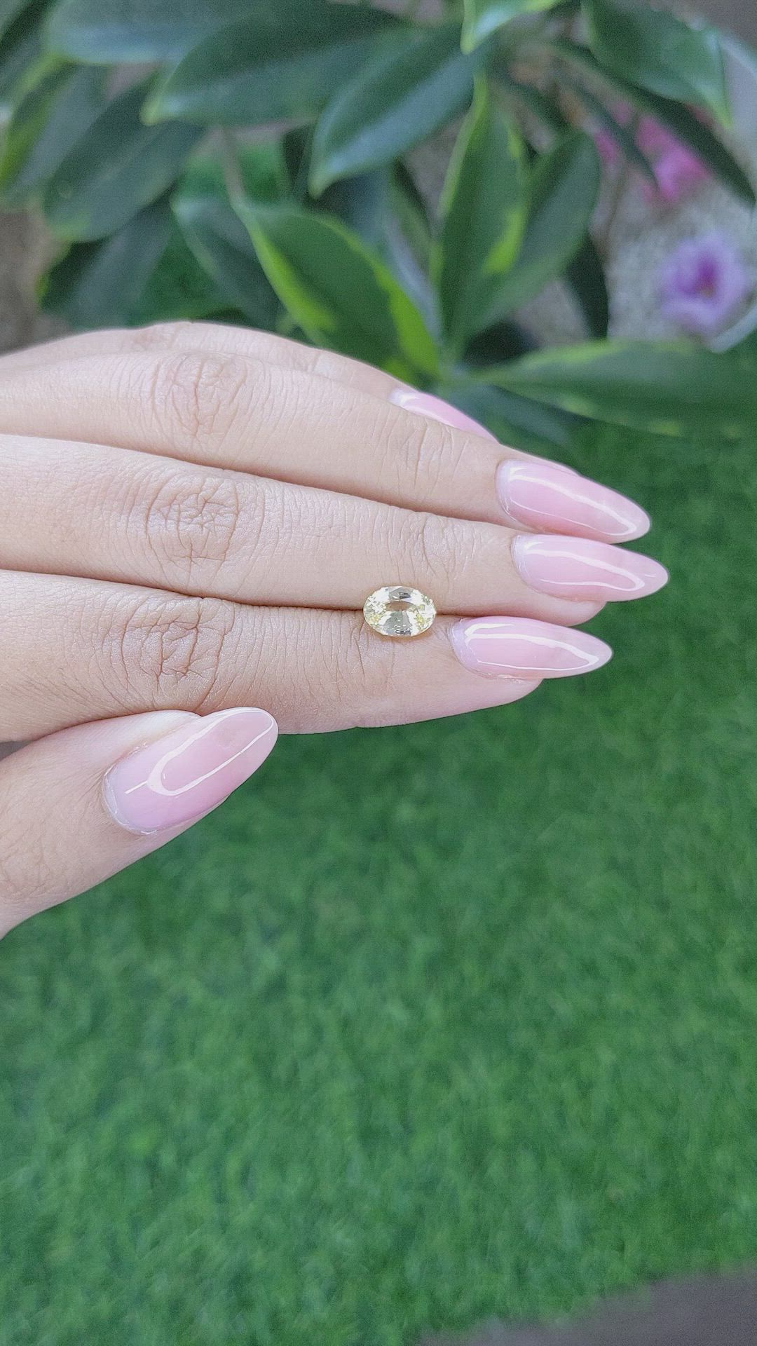 1.58 Ct. Yellow Sapphire from Ceylon (Sri Lanka) Size Video