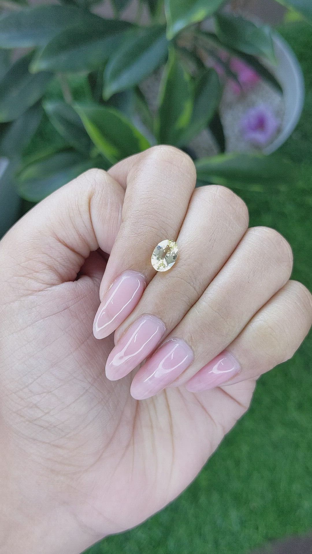 1.58 Ct. Yellow Sapphire from Ceylon (Sri Lanka) Size Video