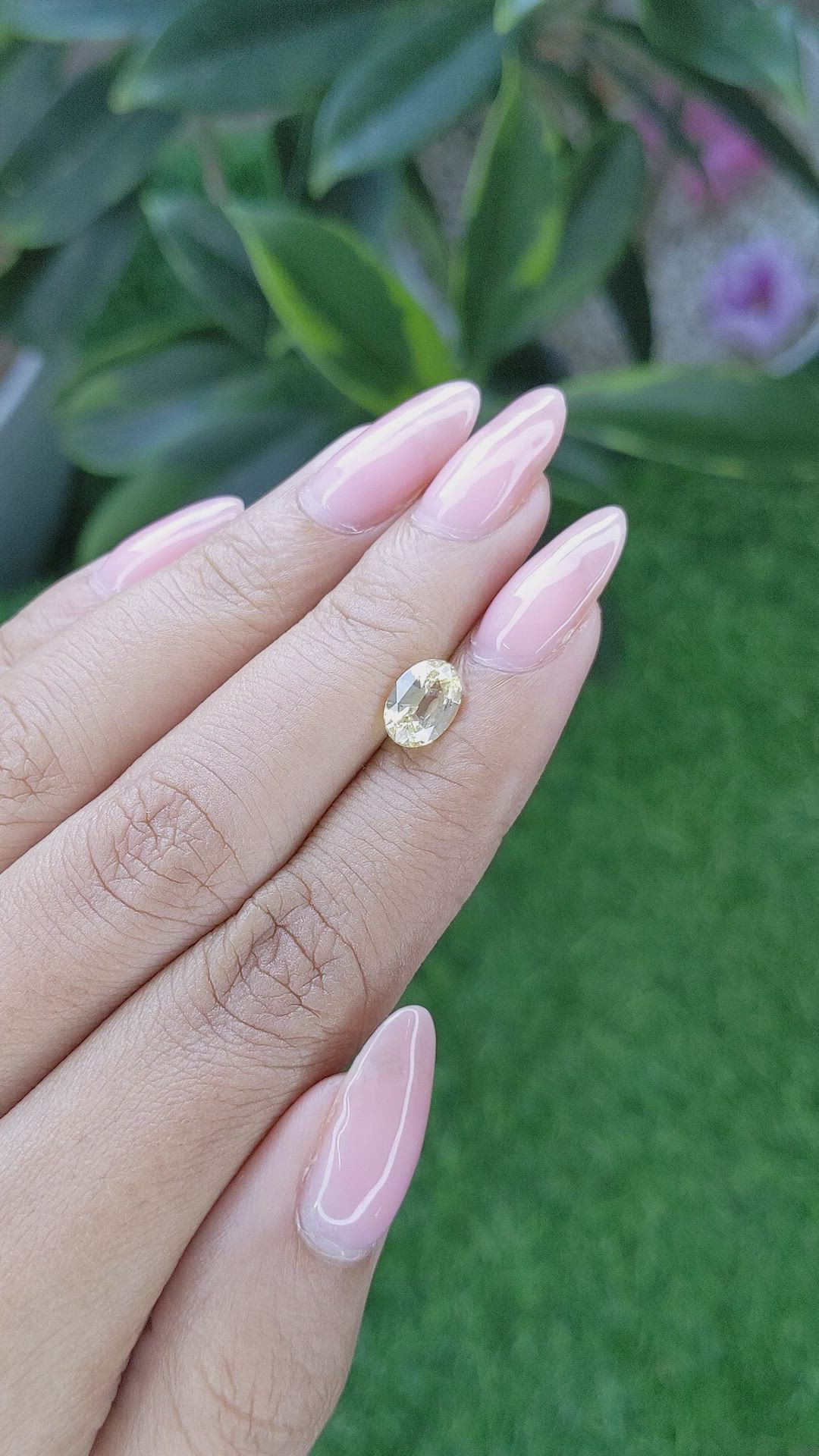 1.58 Ct. Yellow Sapphire from Ceylon (Sri Lanka) Size Video