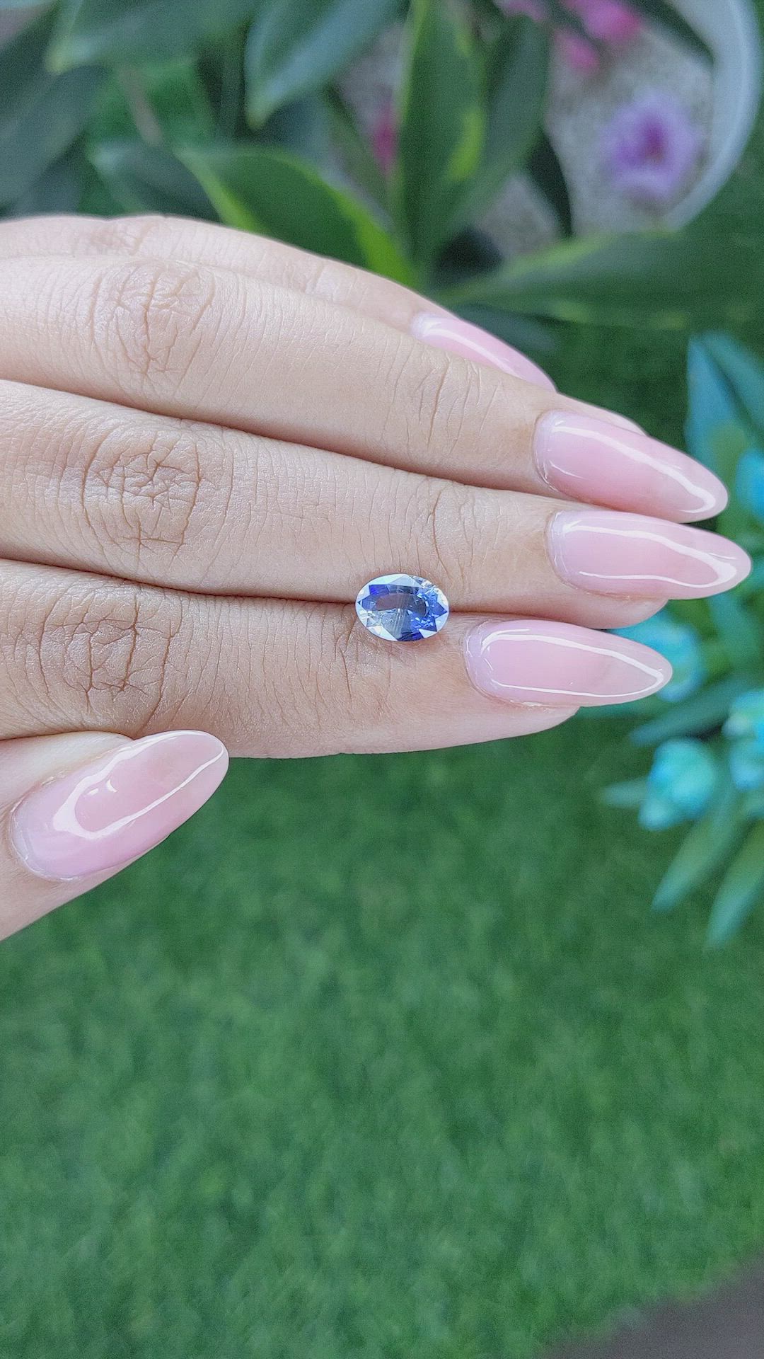 1.62 Ct. Bi Color Sapphire from Ceylon (Sri Lanka) Size Video