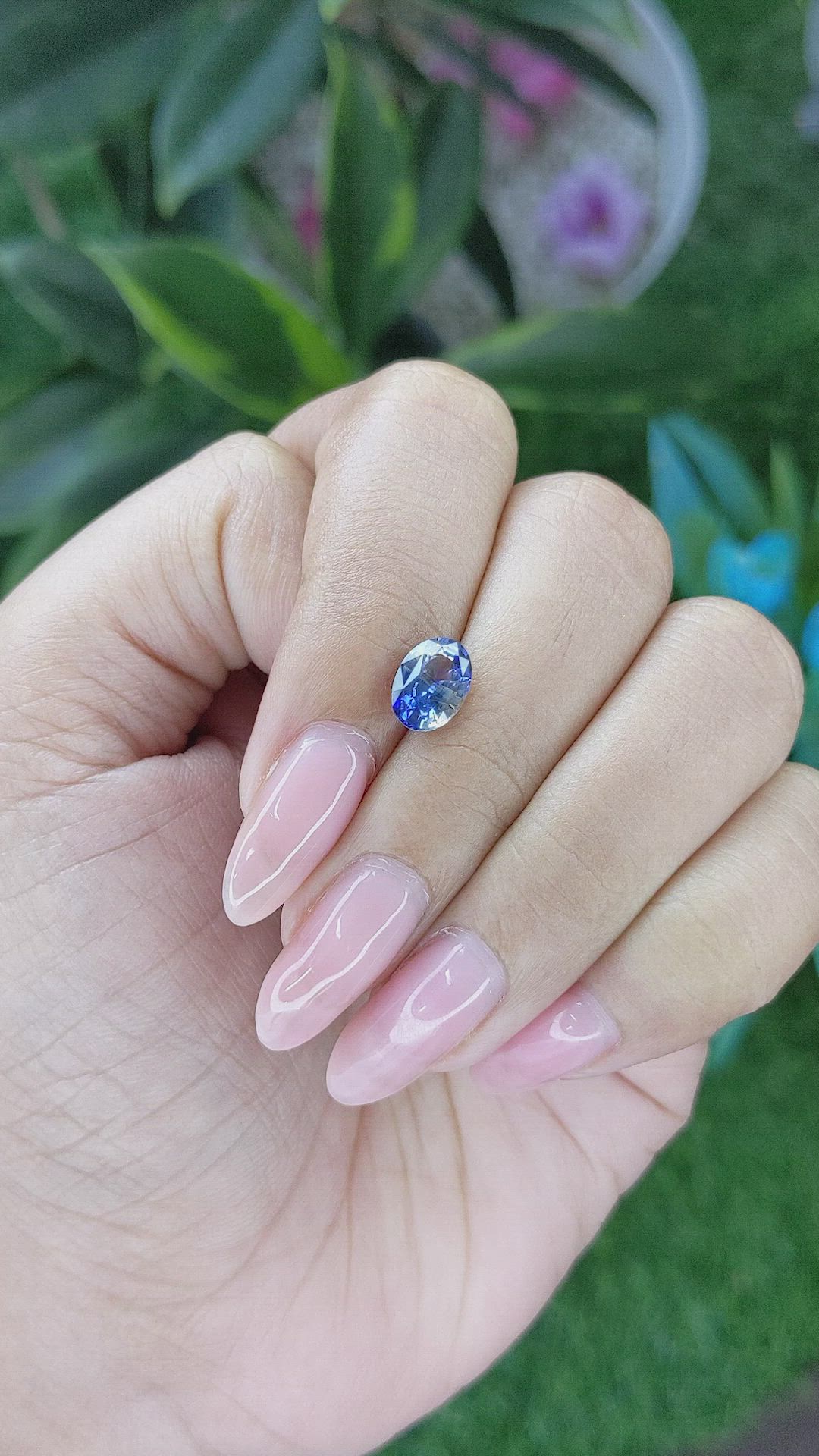 1.62 Ct. Bi Color Sapphire from Ceylon (Sri Lanka) Size Video