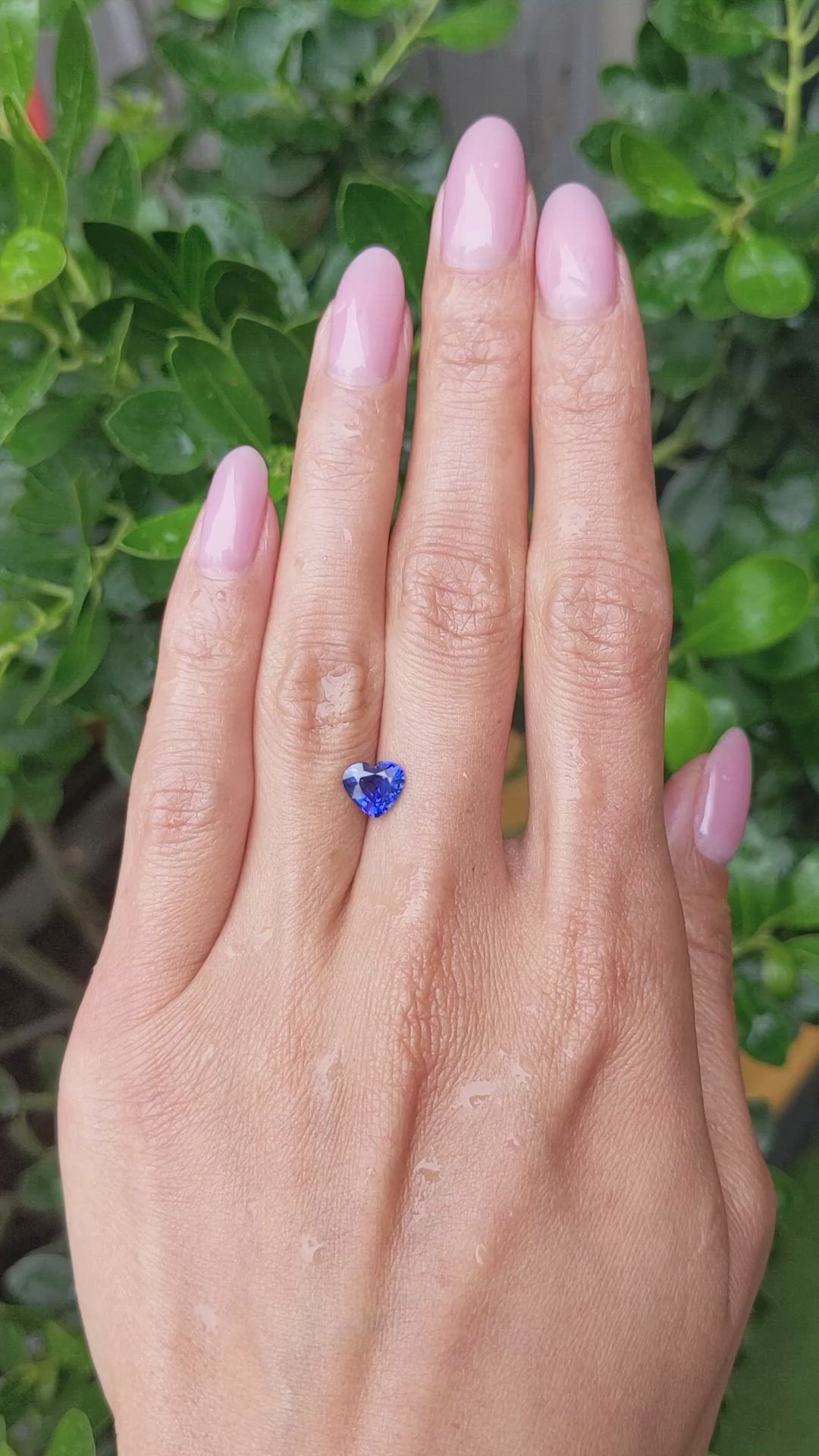 1.26 Ct. Blue Sapphire from Ceylon (Sri Lanka) Size Video