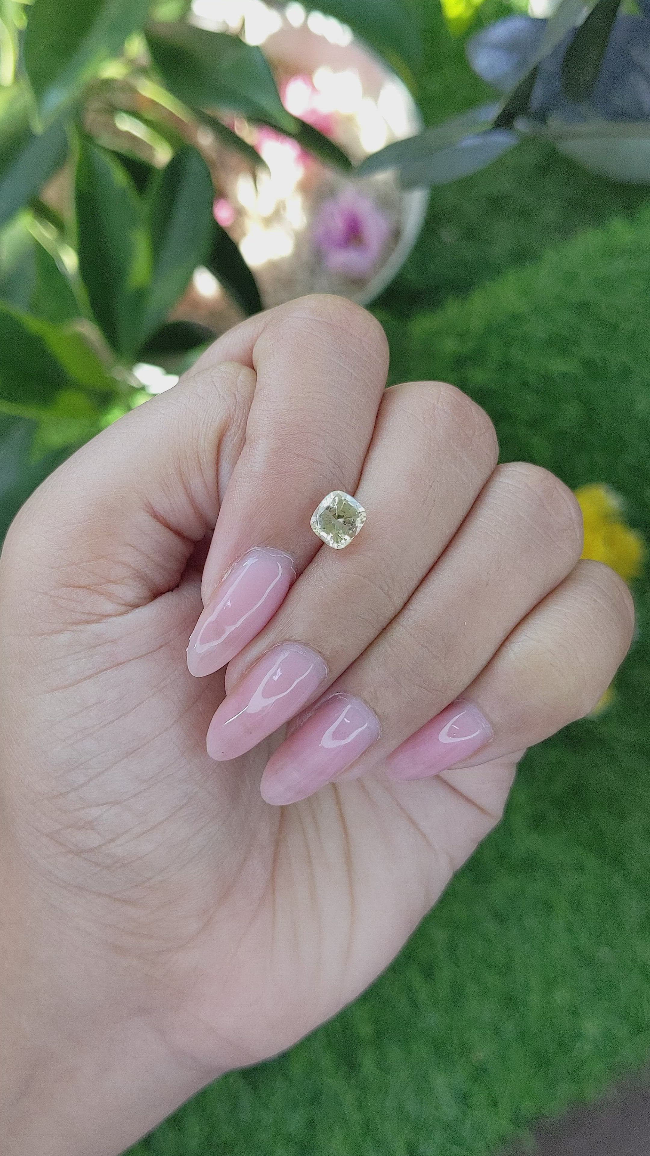 1.31 Ct. Yellow Sapphire from Ceylon (Sri Lanka) Size Video