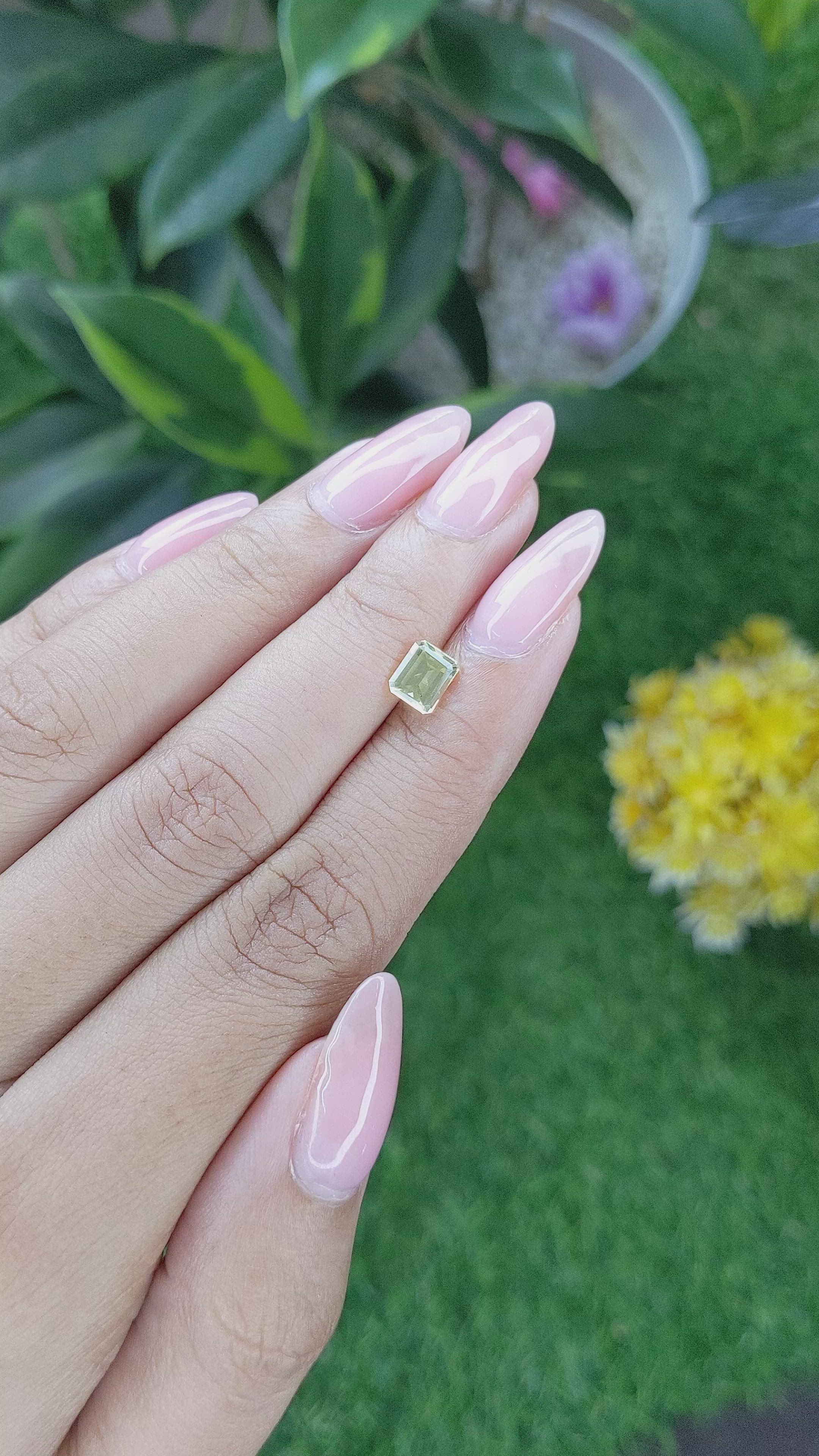 1.12 Ct. Yellow Sapphire from Ceylon (Sri Lanka) Size Video